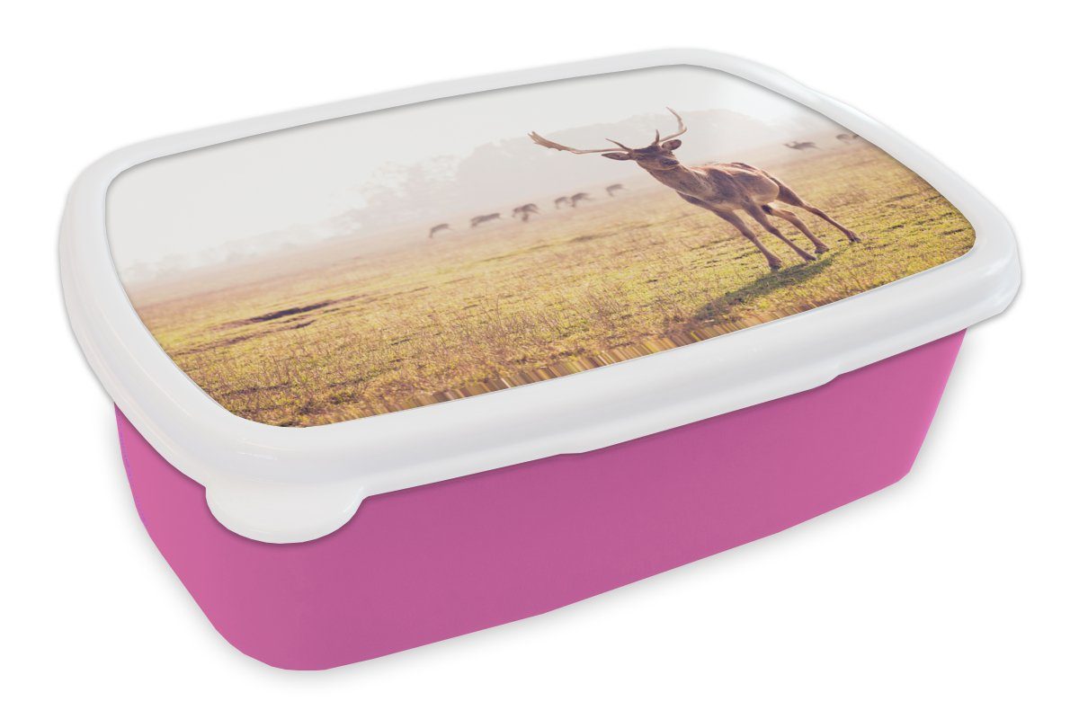 MuchoWow Lunchbox Geweihe Kunststoff, Snackbox, Mädchen, Hirsche (2-tlg), Kinder, - Erwachsene, Brotbox rosa Gras, für Kunststoff Brotdose 