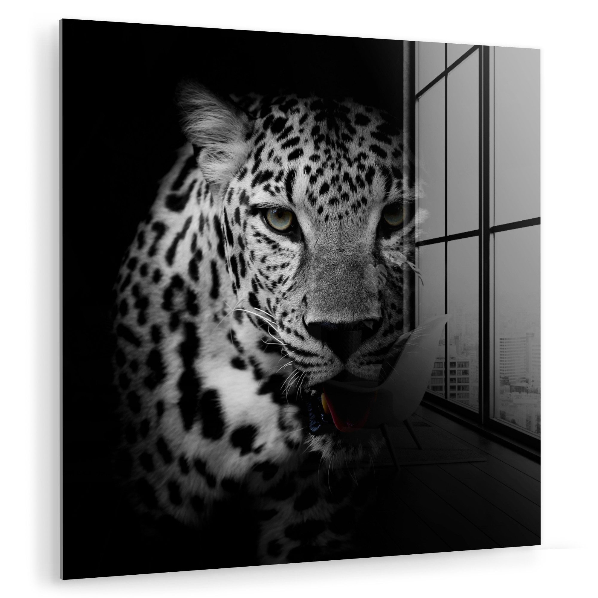 MuchoWow Acrylglasbild Tiere - Schwarz - günstig online kaufen