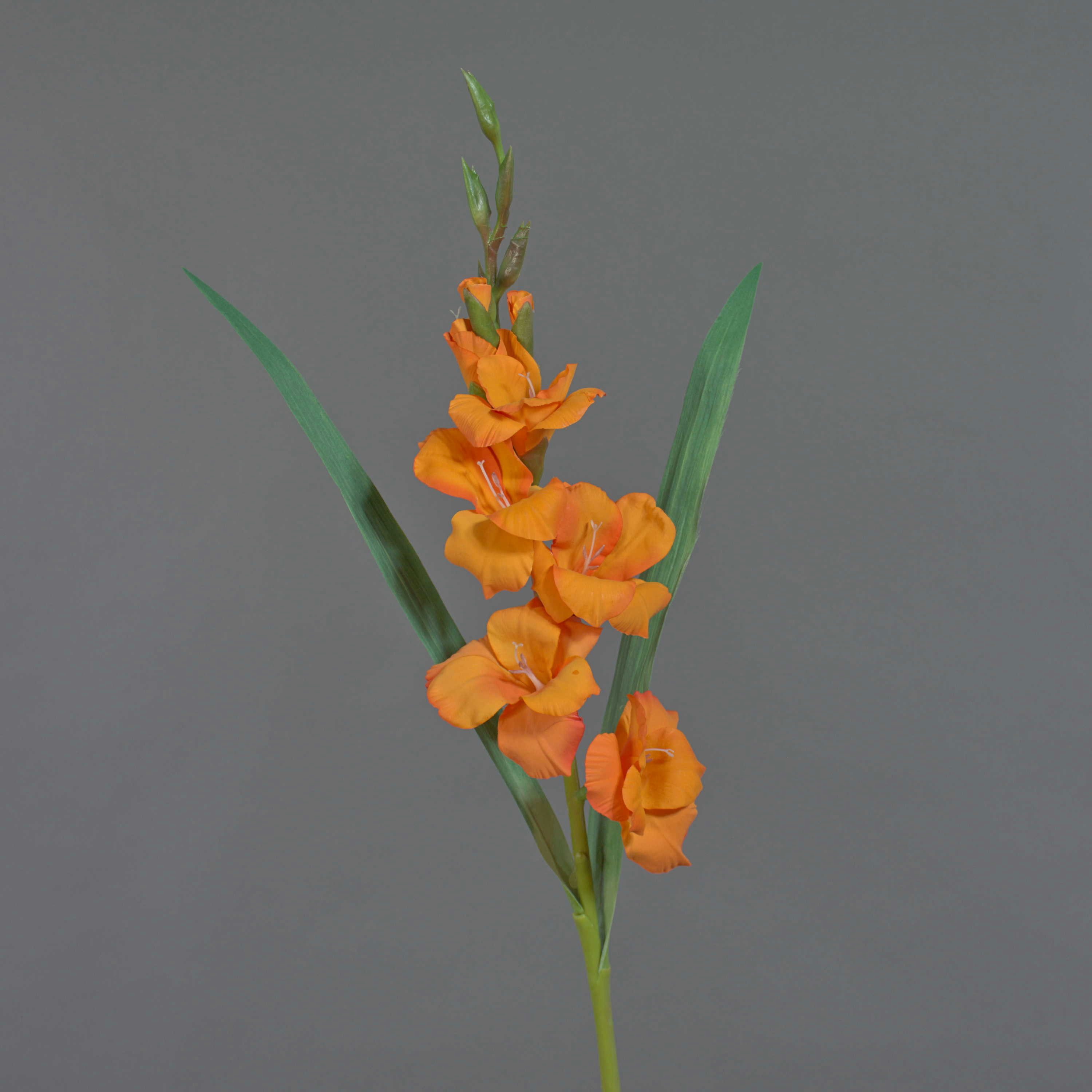 Kunstblume Kunst Gladiole ELEA, orange, 85cm, Ø3-10cm Gladiole, artplants, Höhe 80.0 cm