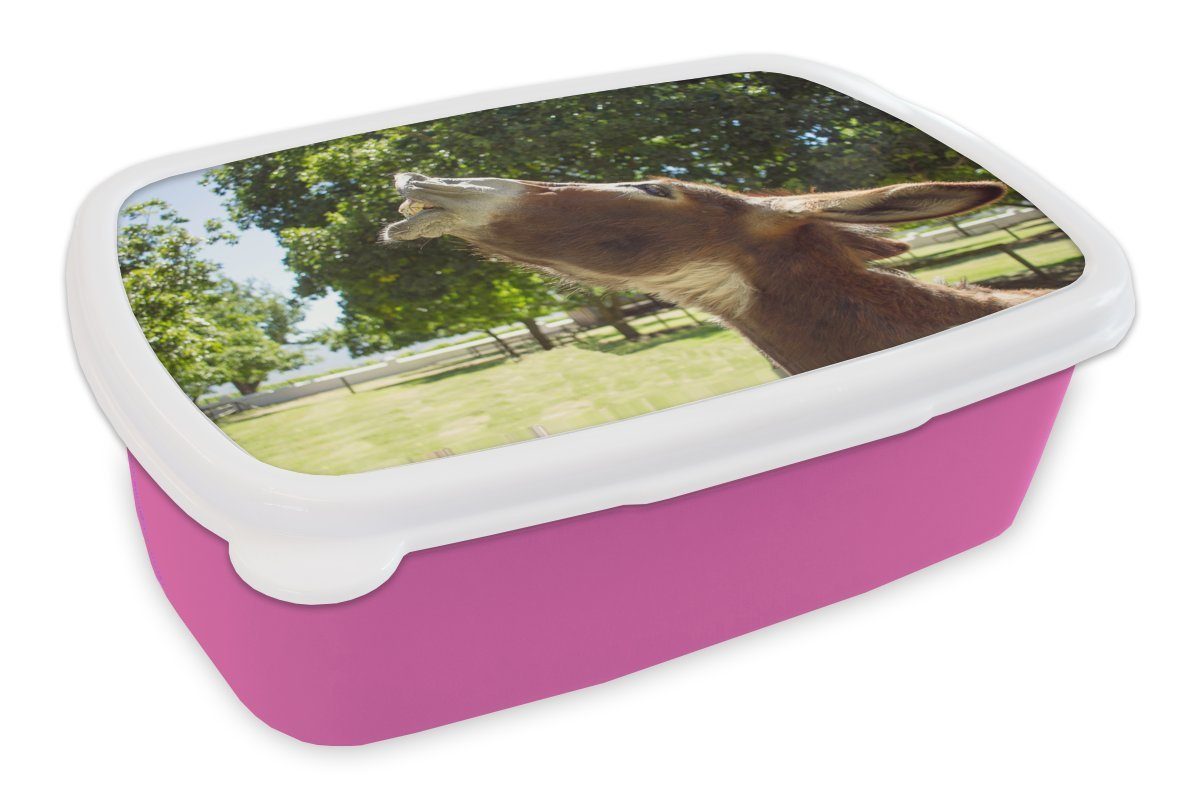 Mädchen, Brotdose Lunchbox rosa für Kunststoff Esel (2-tlg), Erwachsene, Kunststoff, Brotbox lachend, MuchoWow Snackbox, Kinder,