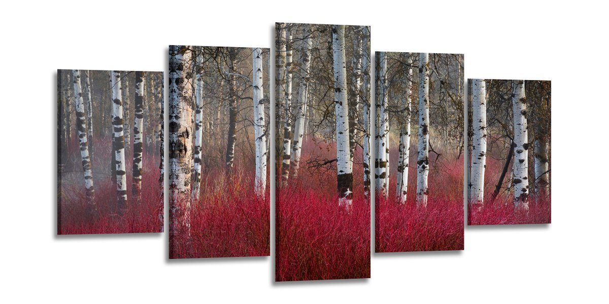 Visario Bild mit Rahmen 2 m günstig online kaufen