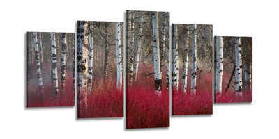 Visario Bild mit Rahmen 2 m x 1 m fünfteiliges Bilderset von Visario auf Leinwand fertig zum Aufhängen/gerahmt, Birkenwald