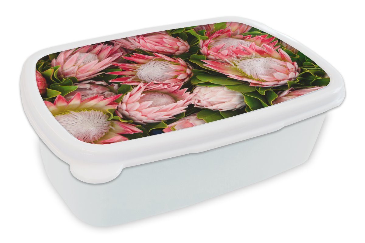 MuchoWow Lunchbox Blumen - Rosa - Protea, Kunststoff, (2-tlg), Brotbox für Kinder und Erwachsene, Brotdose, für Jungs und Mädchen weiß