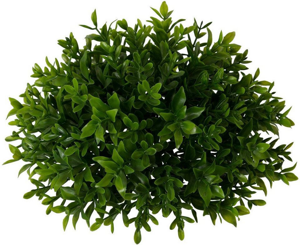 Kunstpflanze Buchsbaumhalbkugel, Creativ green, Höhe 10 cm, 3er Set