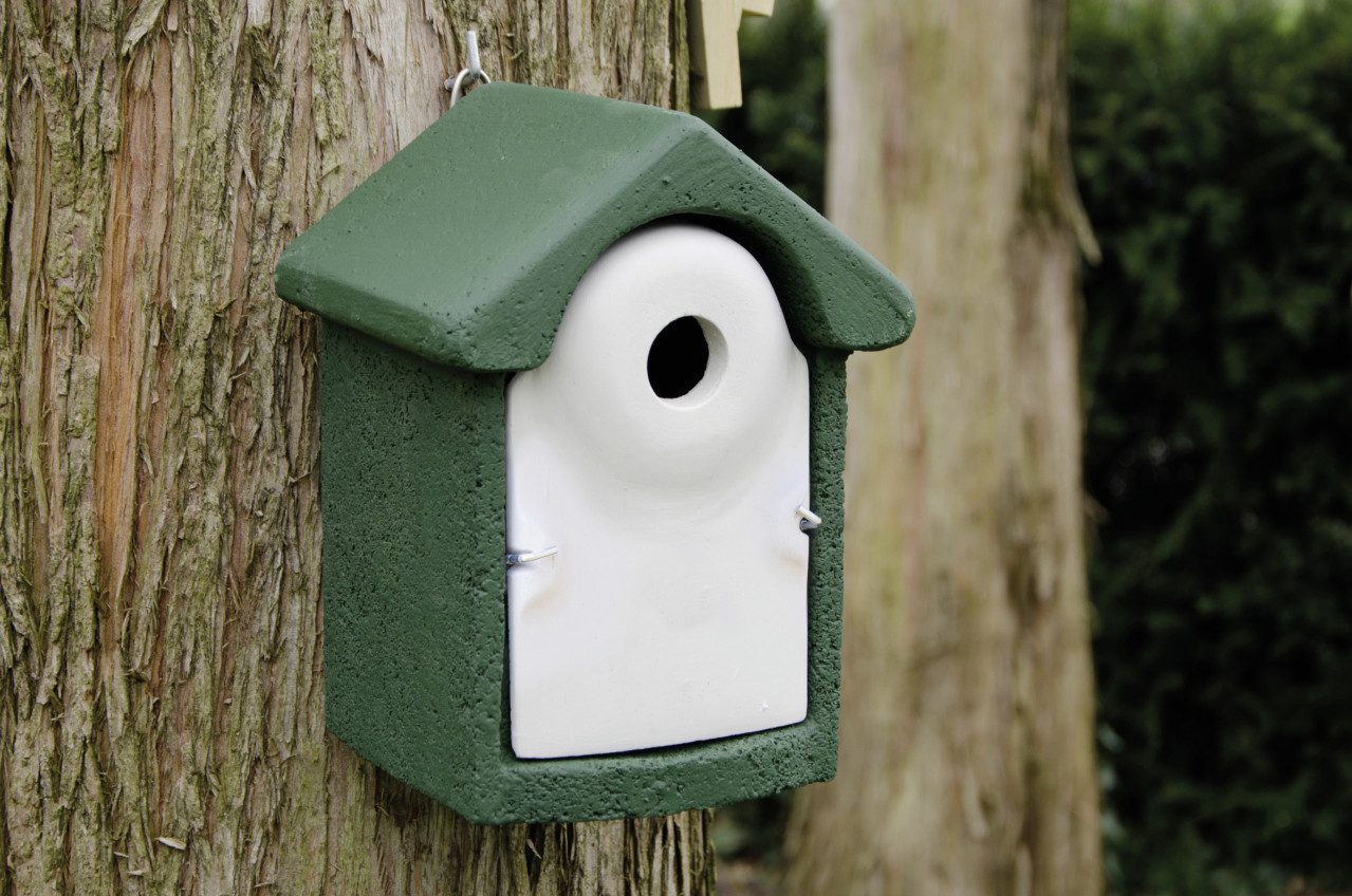 Nistkasten CJ Wildlife Nistkasten Holzbeton grün/weiß LxBxH:
