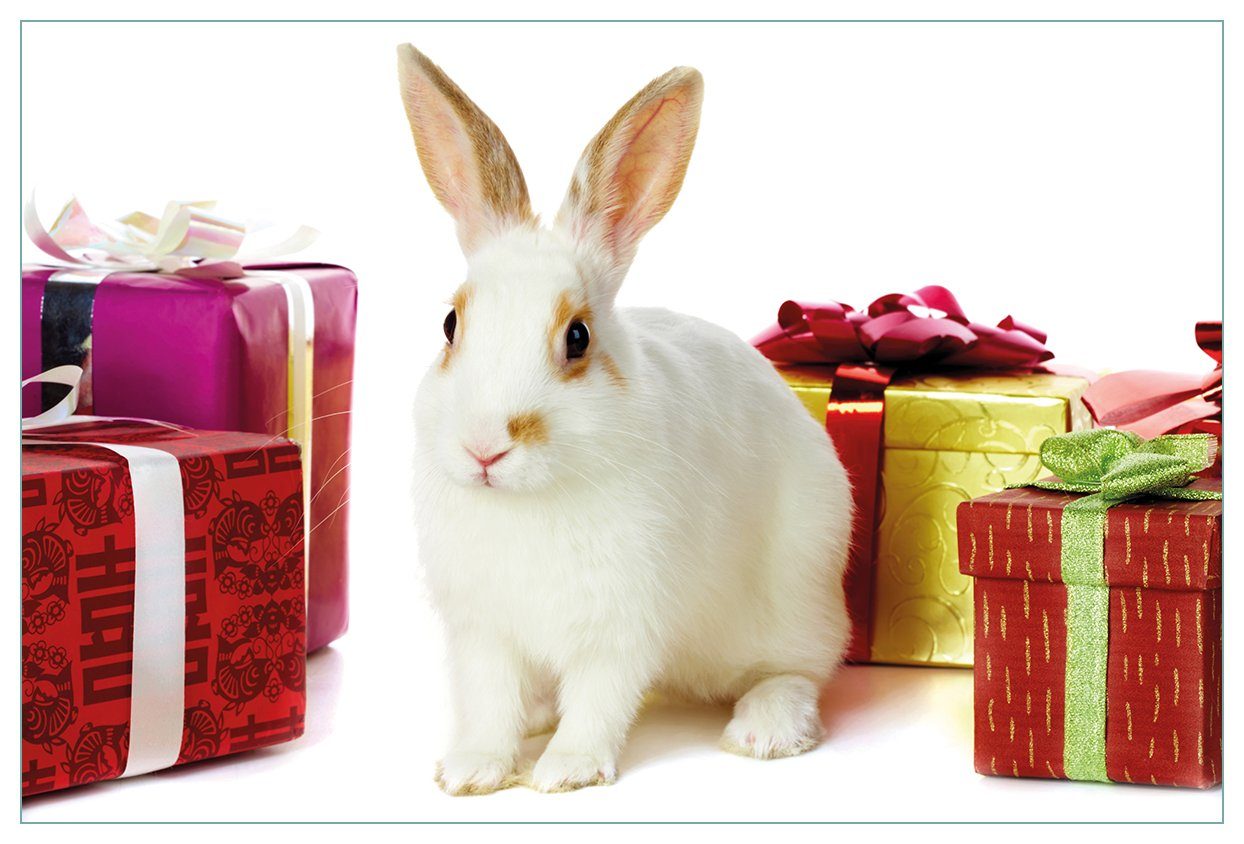 Wallario Küchenrückwand Süßes Kaninchen mit bunten Geschenken, (1-tlg)