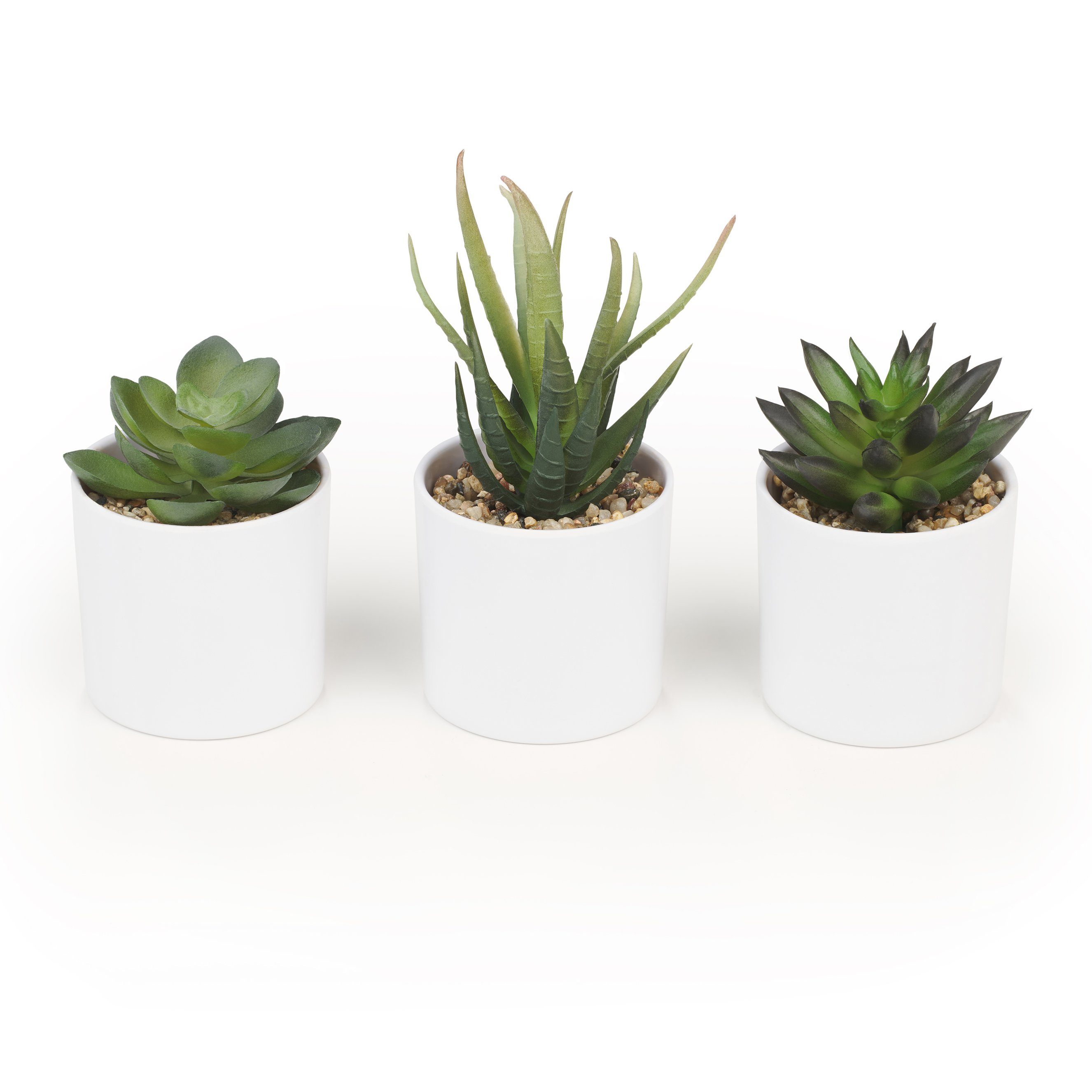 Kunstpflanze Dekorationspflanzen künstliche Sukkulenten mit weißem oder grauem Topf Sukkulente, Blumtal, künstliche Zimmerpflanzen, Set bestehend aus 3 Pflanzen