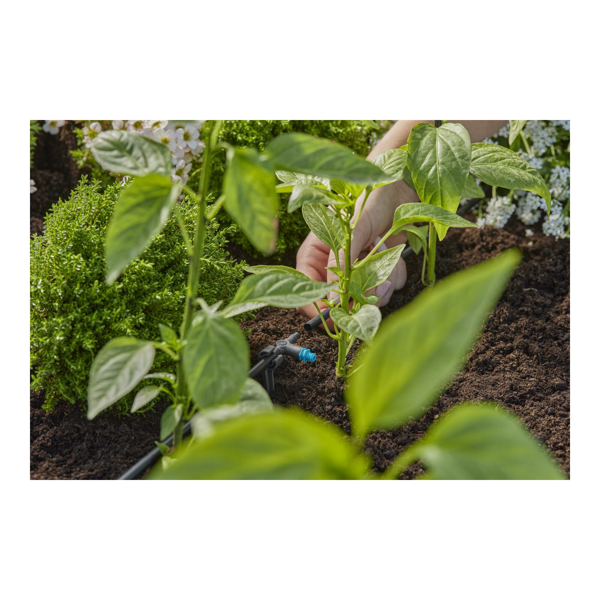 GARDENA Bewässerungssystem Gardena Micro-Drip-System Reihentropfer 2 l/h - Inhalt: 10 Reihentropf