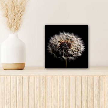 OneMillionCanvasses® Leinwandbild Blumen - Natur - Löwenzahn - Schwarz - Porträt, (1 St), Leinwand Bilder für Wohnzimmer Schlafzimmer, 20x20 cm