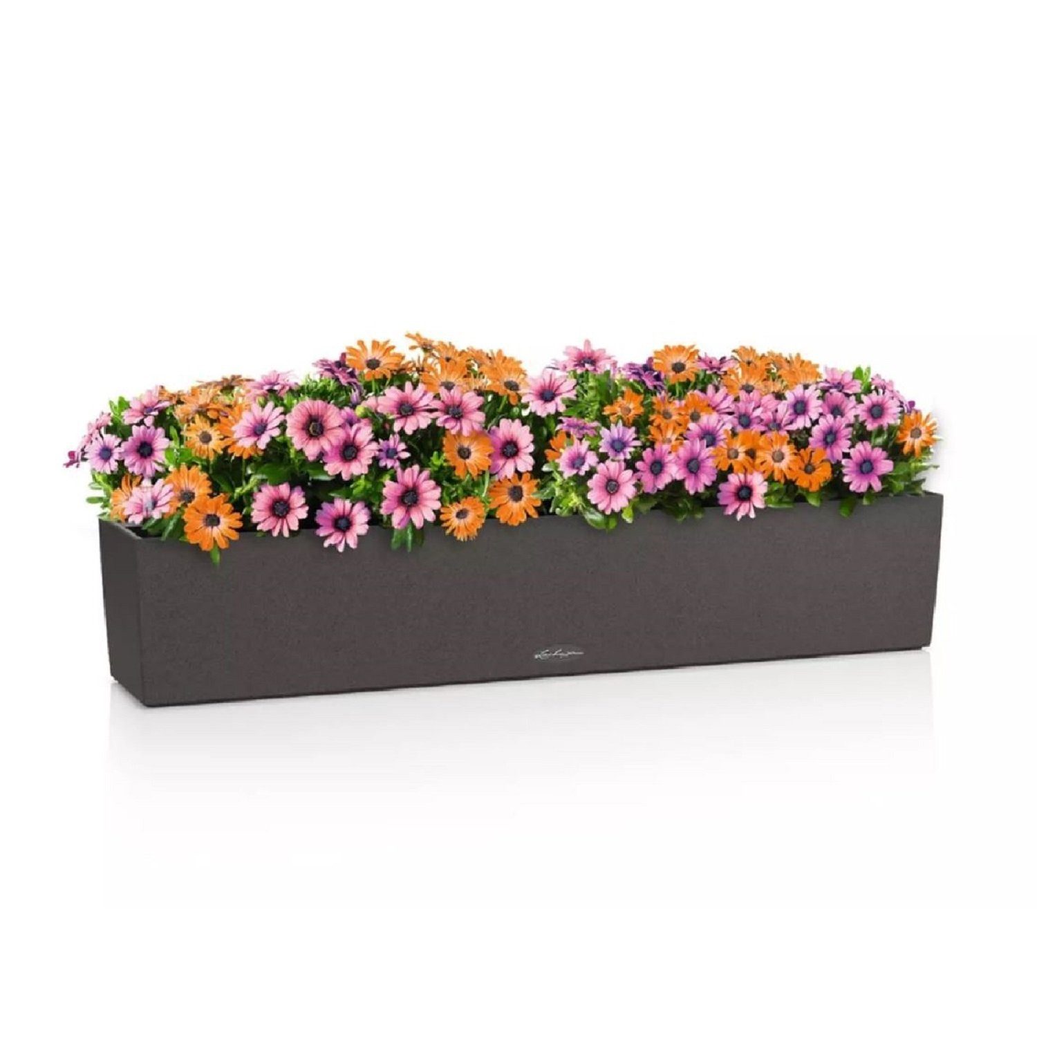 Lechuza® Balkonkasten BALCONERA Stone 100 graphitschwarz (Komplettset)