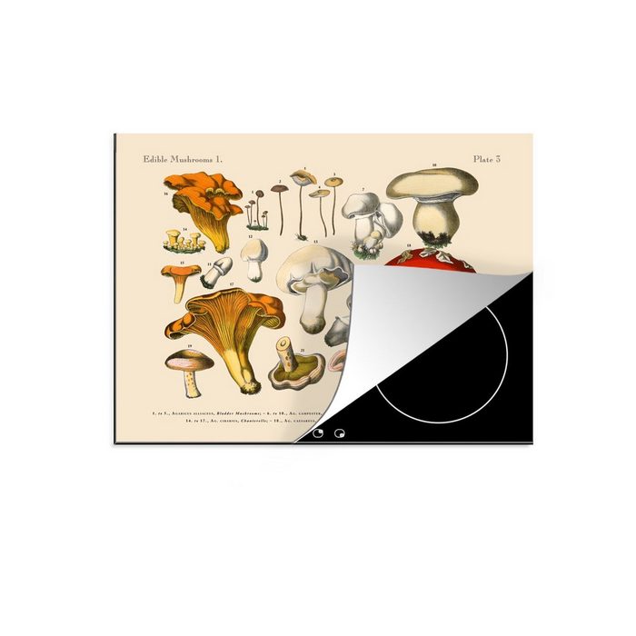 MuchoWow Herdblende-/Abdeckplatte Pilz - Illustration - Sumpf Vinyl (1 tlg) Mobile Arbeitsfläche nutzbar Ceranfeldabdeckung