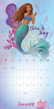 Danilo Wandkalender Arielle die Meerjungfrau 2024 Kalender, inkl. Miniposter