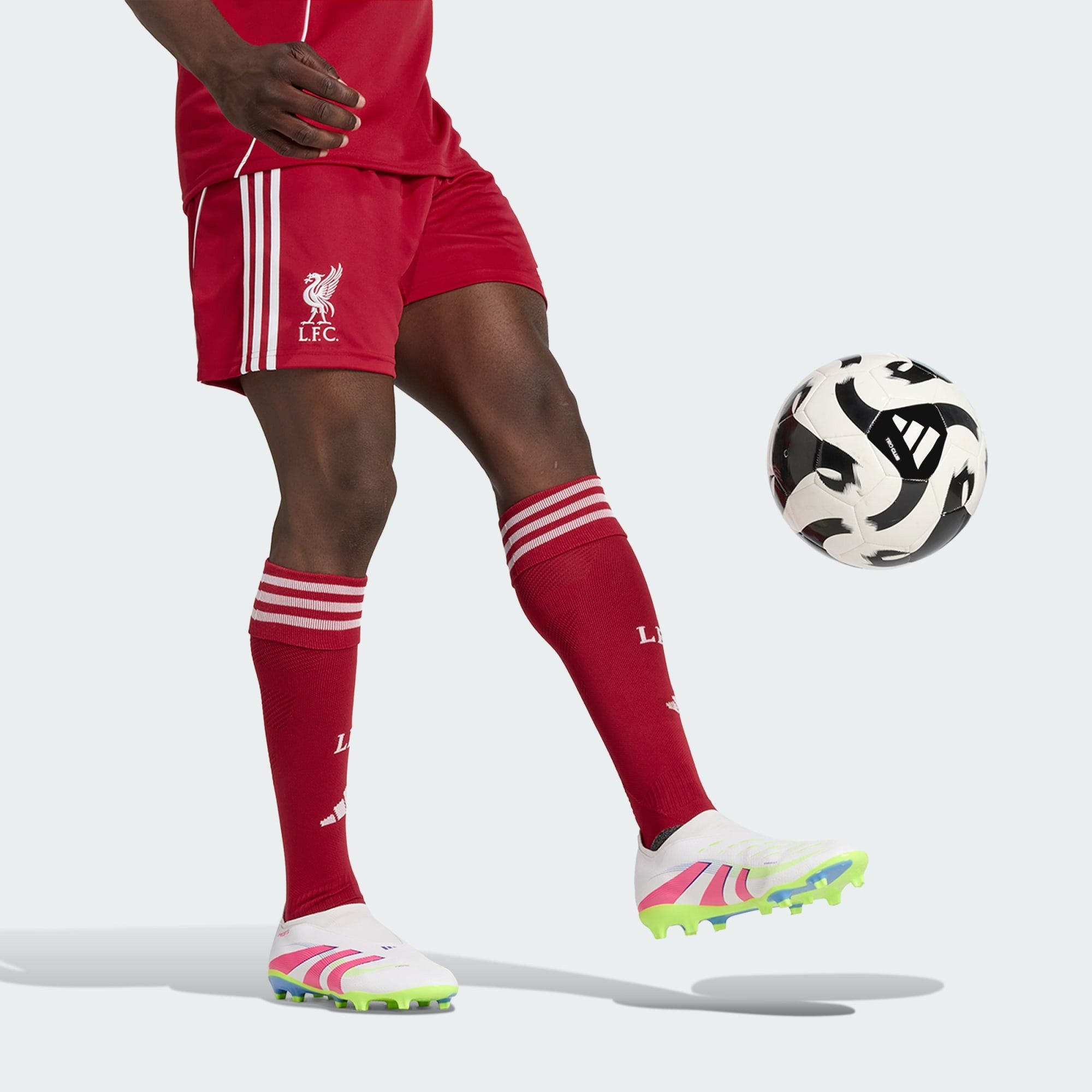 adidas Performance Shorts FC LIVERPOOL FC 25/26 HEIMSHORTS (1-tlg)