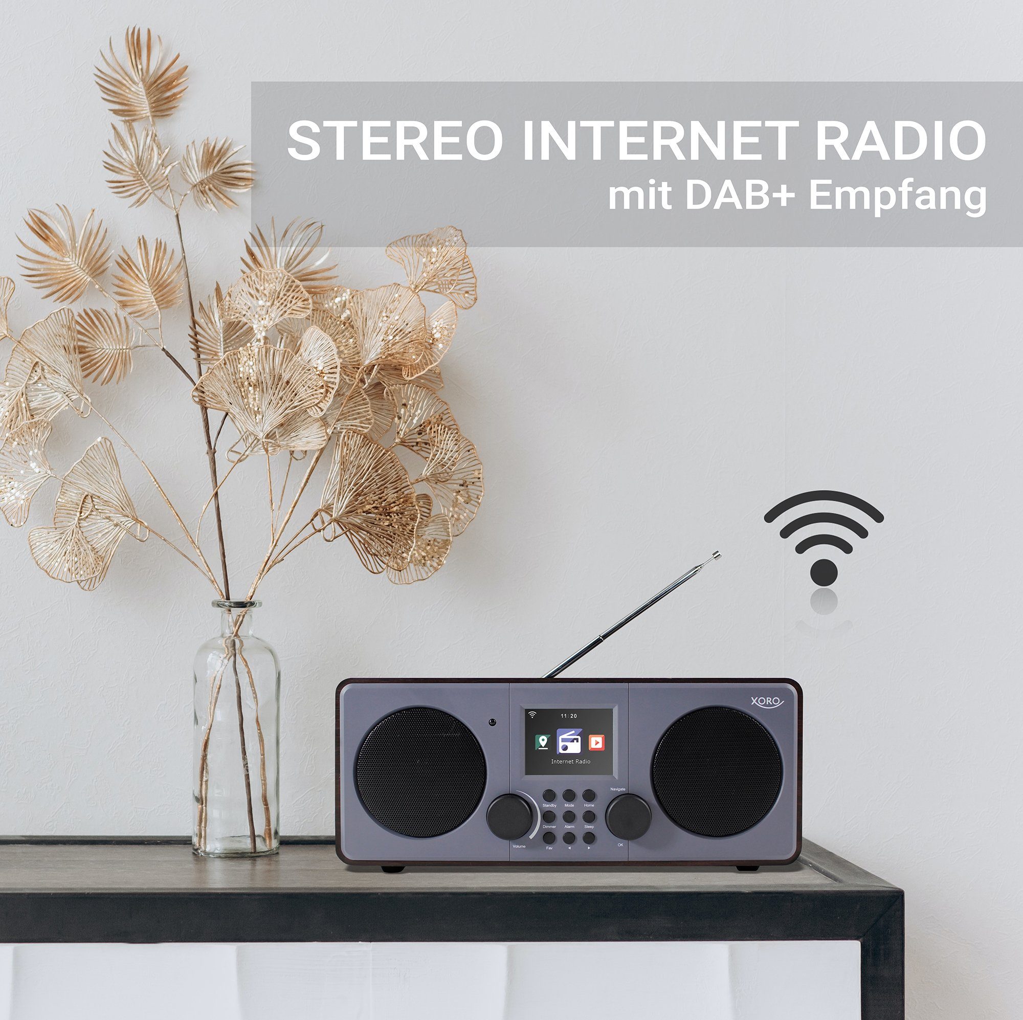 DAB+/WLAN-Stereo-Internetradio XORO DAB Internet-Radio 600 Xoro IR V3