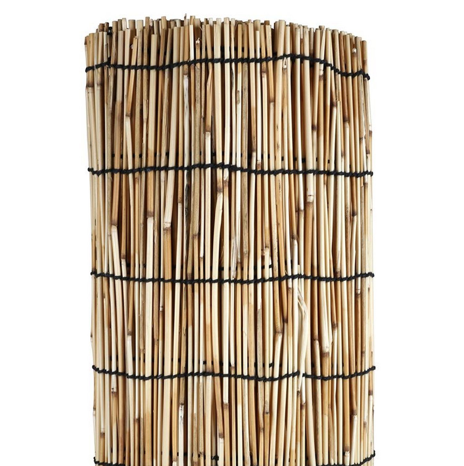 sesua Sichtschutzzaunmatten Schilfrohrmatte Schilf Sichtschutzmatte 600x100 günstig online kaufen