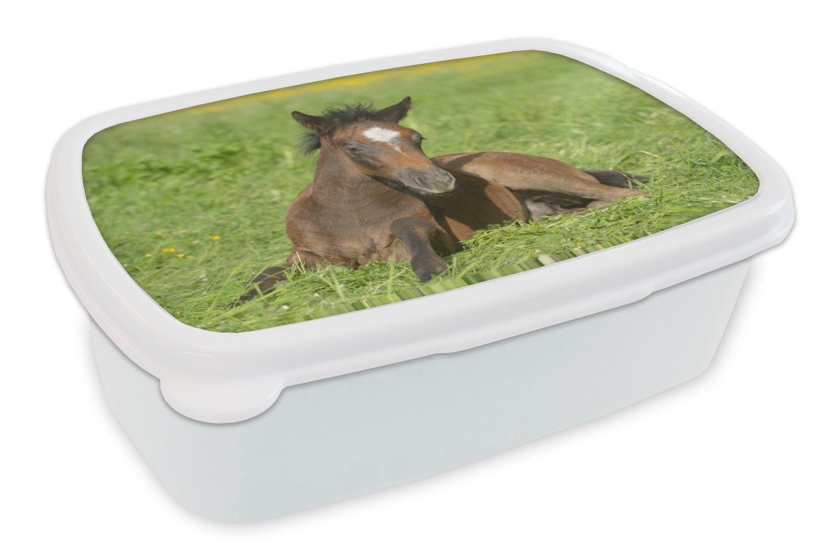 Brotbox Licht Jungs und weiß für - Pferde für Mädchen MuchoWow Brotdose, Kunststoff, Lunchbox (2-tlg), Gras, - Kinder Erwachsene, und