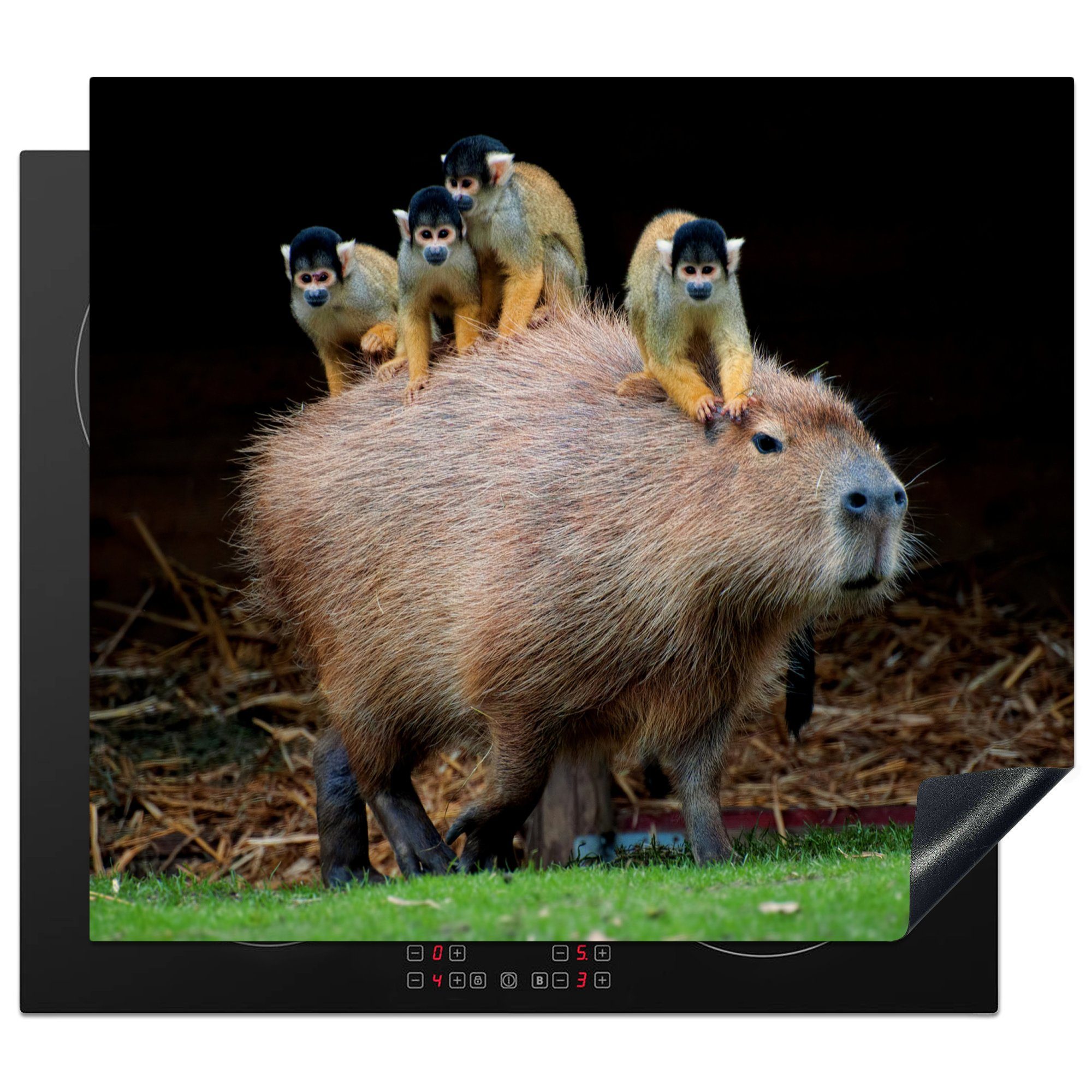 MuchoWow Herdblende-/Abdeckplatte Ein Capybara mit Affen darauf, Vinyl, (1 tlg), 59x52 cm, Ceranfeldabdeckung für die küche, Induktionsmatte