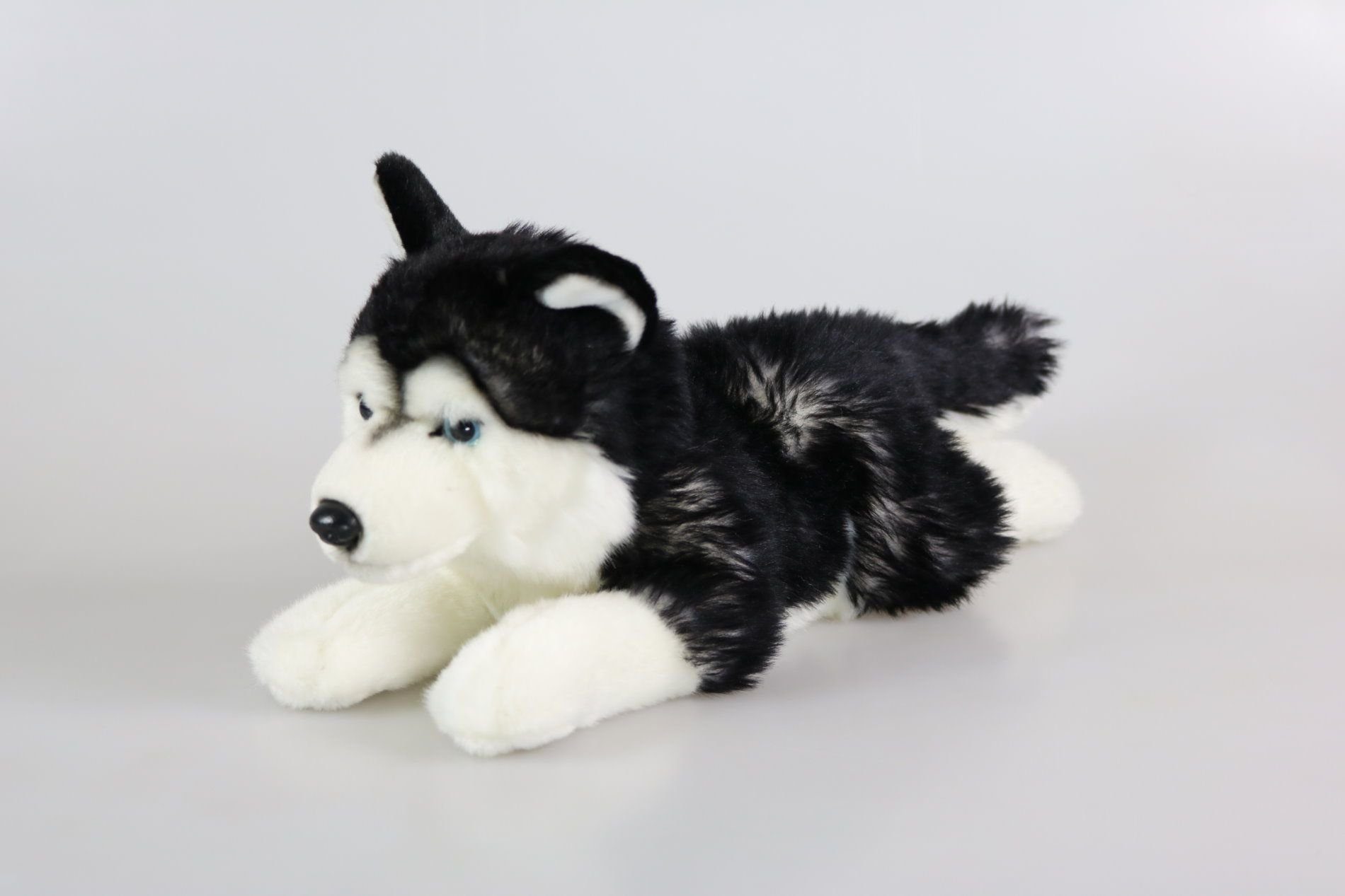 Teddys Rothenburg Kuscheltier Sibirischer Husky liegend schwarz/weiß 38 cm günstig online kaufen