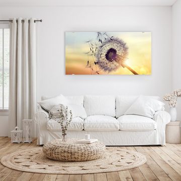 Primedeco Glasbild Wandbild Silhouette von Löwenzahn mit Aufhängung, Blumen