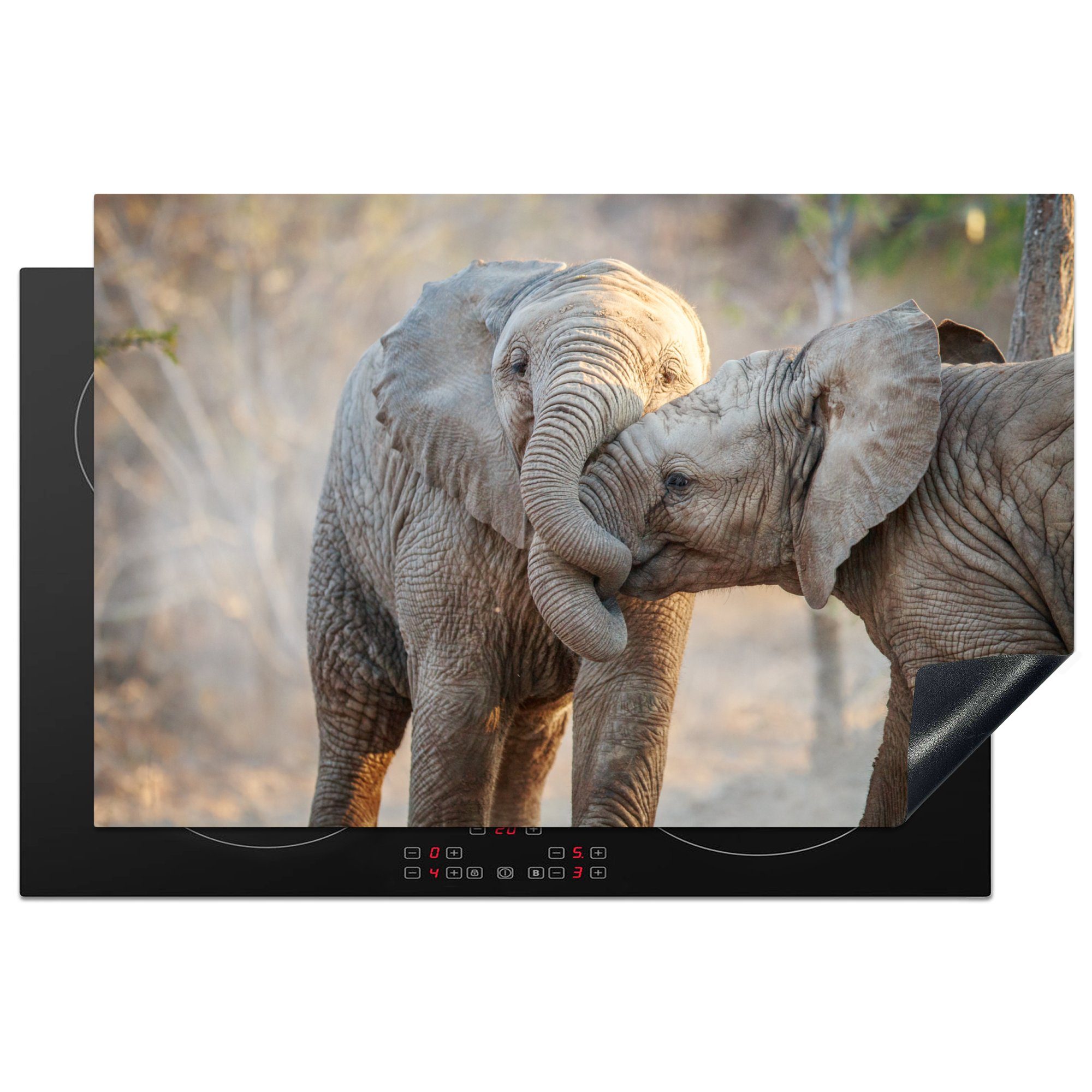 für Vinyl, cm, - küche, Kuscheltier - 81x52 MuchoWow (1 Afrika, tlg), Herdblende-/Abdeckplatte Ceranfeldabdeckung die Induktionskochfeld Schutz Elefanten