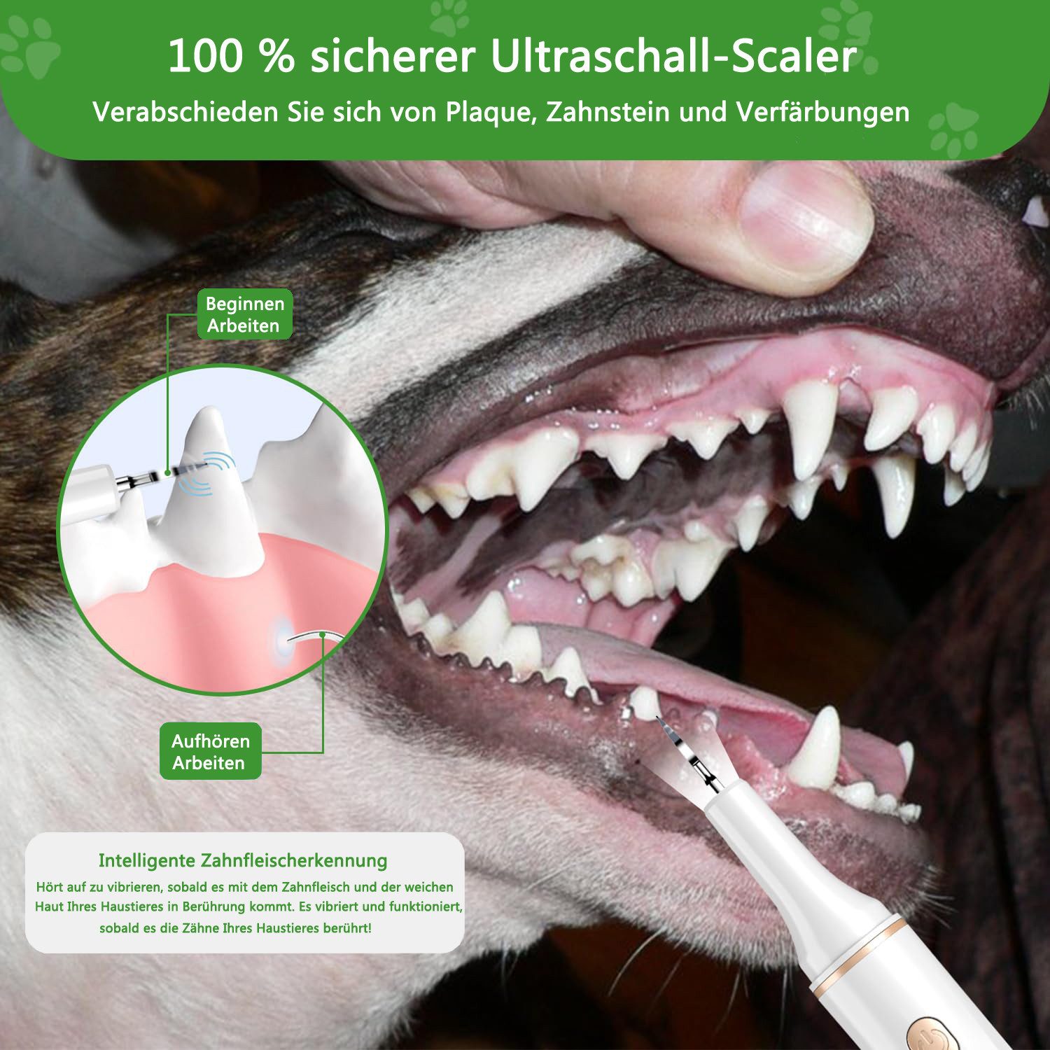 Coonoor Zahnpflege-Set Zahnreiniger Ultraschall für Hund und Katze, Zahnpflege Set, Zahnreiniger für Haustiere, 5 Reinigungsmodi