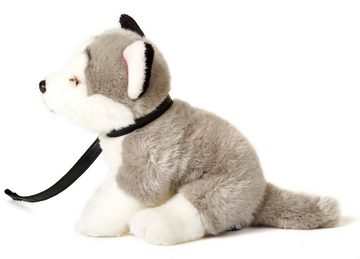 Uni-Toys Kuscheltier Husky grau, sitzend (m. Leine) - Höhe 24 cm - Plüsch-Hund, Plüschtier, zu 100 % recyceltes Füllmaterial