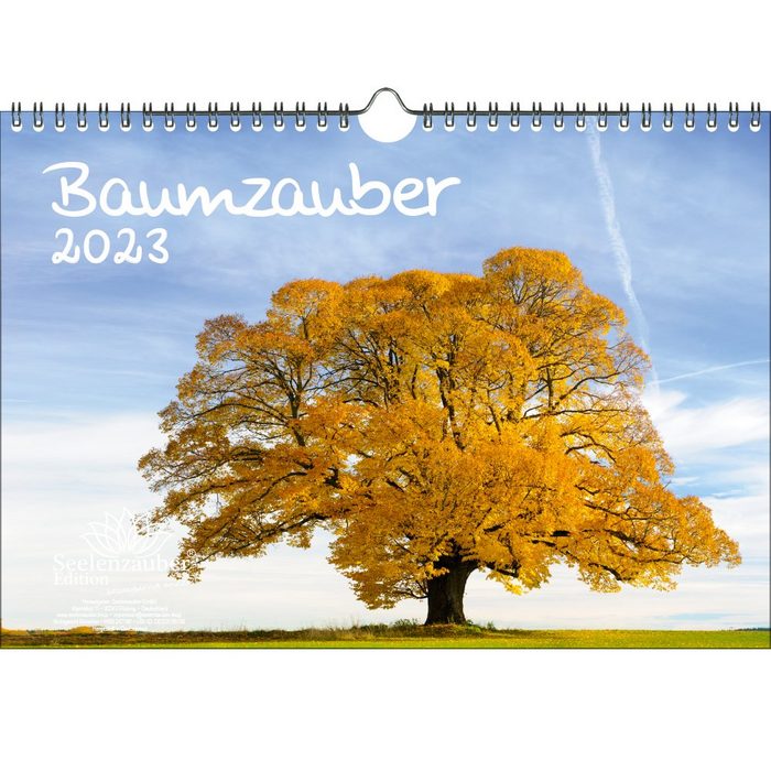 Seelenzauber Wandkalender Baumzauber DIN A4 Kalender für 2023 Baum Bäume und Wald - Seelenzaube