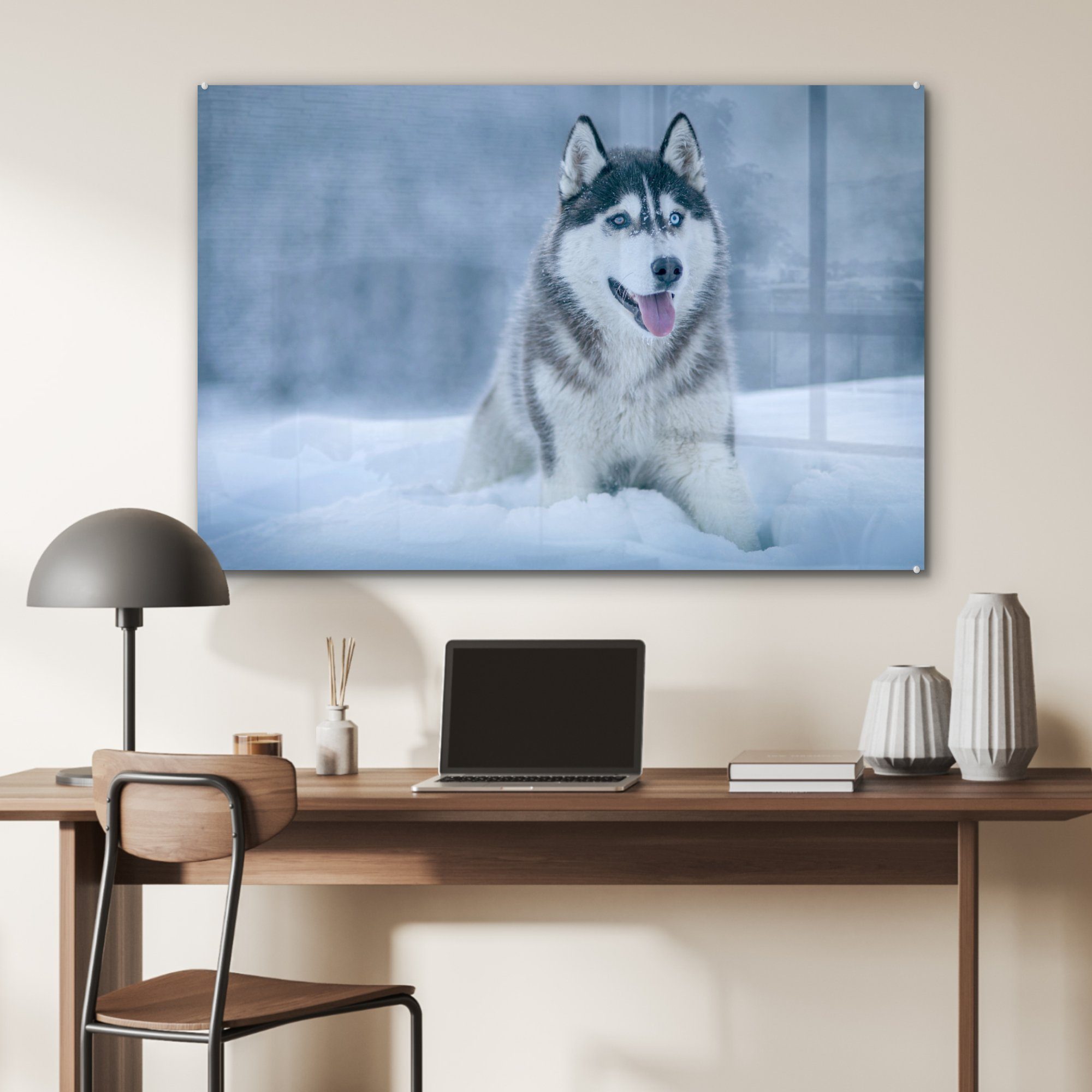 & Schlafzimmer Husky St), Natur, Schnee (1 Wohnzimmer - Acrylglasbild - Acrylglasbilder MuchoWow