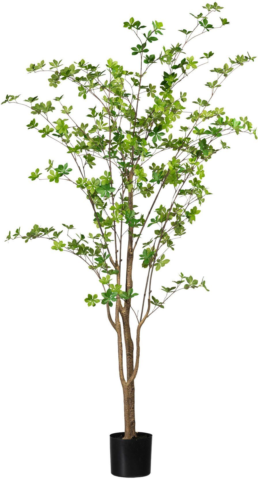 Kunstbaum Louisiana-Baum Louisiana-Baum, Creativ green, Höhe 180 cm