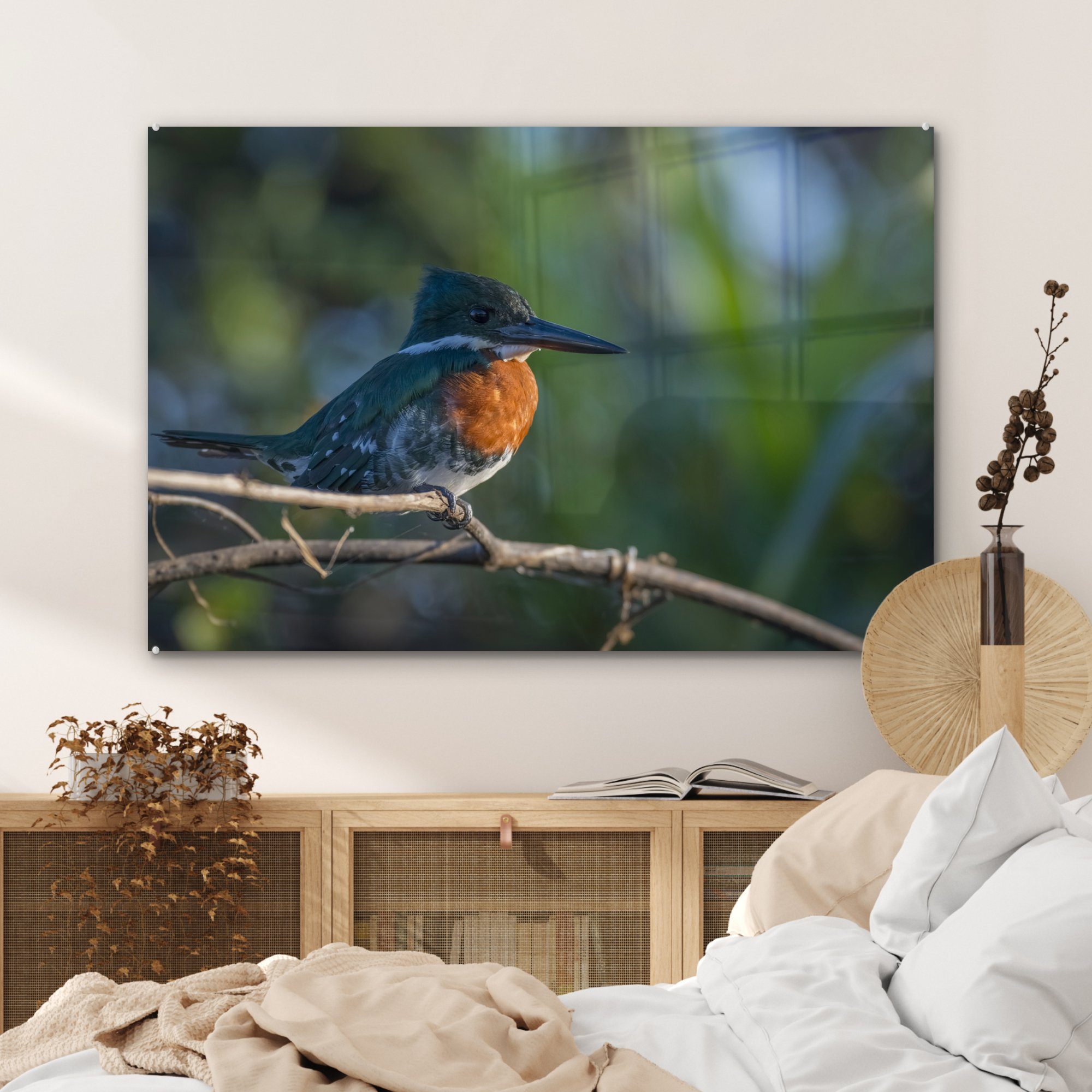 Wohnzimmer Ein und Acrylglasbilder Kookaburra, MuchoWow & gefärbter blau Schlafzimmer St), (1 orange Acrylglasbild