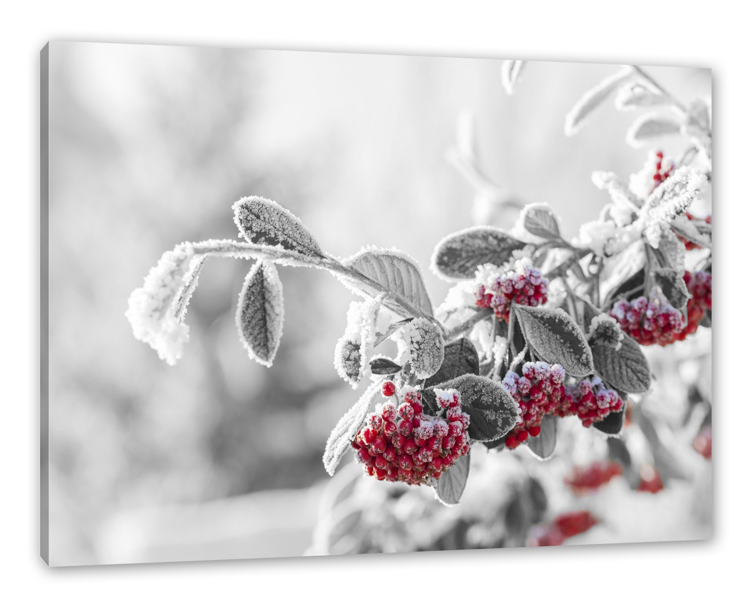 Pixxprint Leinwandbild Vogelbeeren im frostigen Winter, Vogelbeeren im frostigen Winter (1 St), Leinwandbild fertig bespannt, inkl. Zackenaufhänger