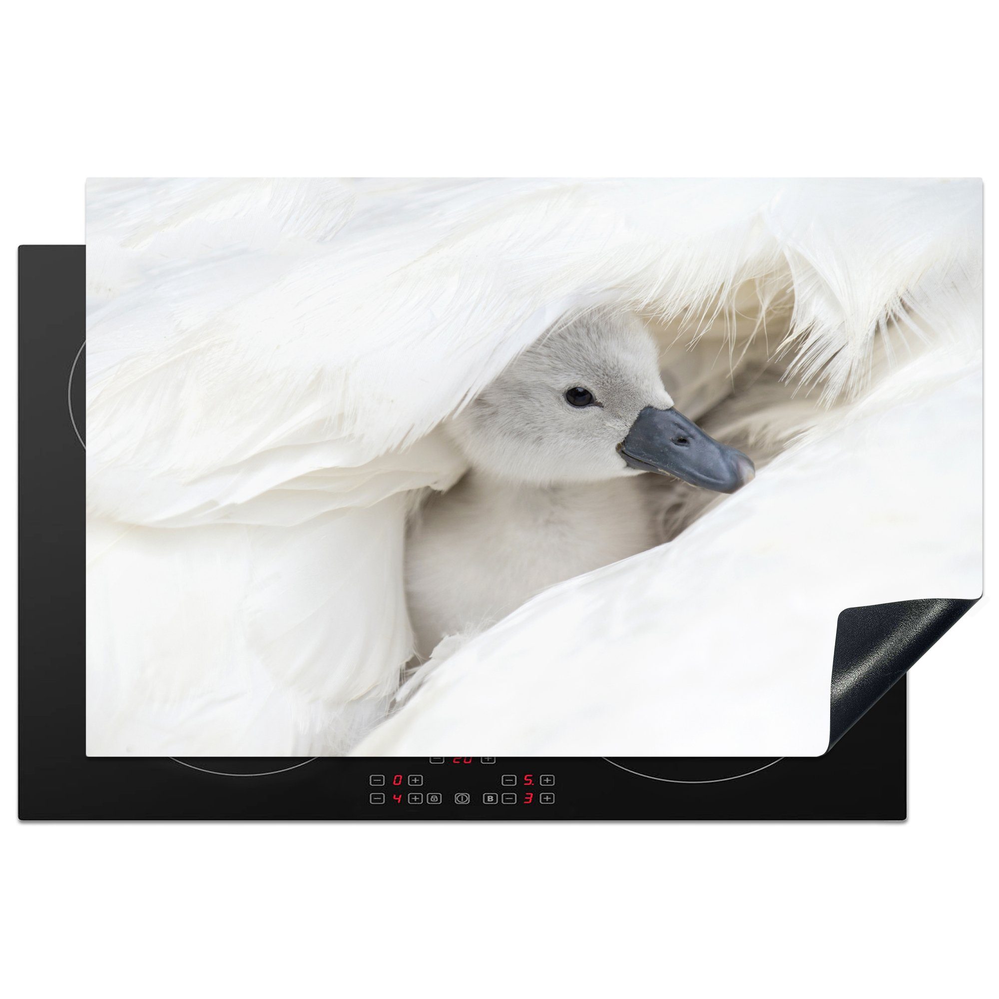 MuchoWow Herdblende-/Abdeckplatte Baby - Schwan - Küken, Vinyl, (1 tlg), 81x52 cm, Induktionskochfeld Schutz für die küche, Ceranfeldabdeckung