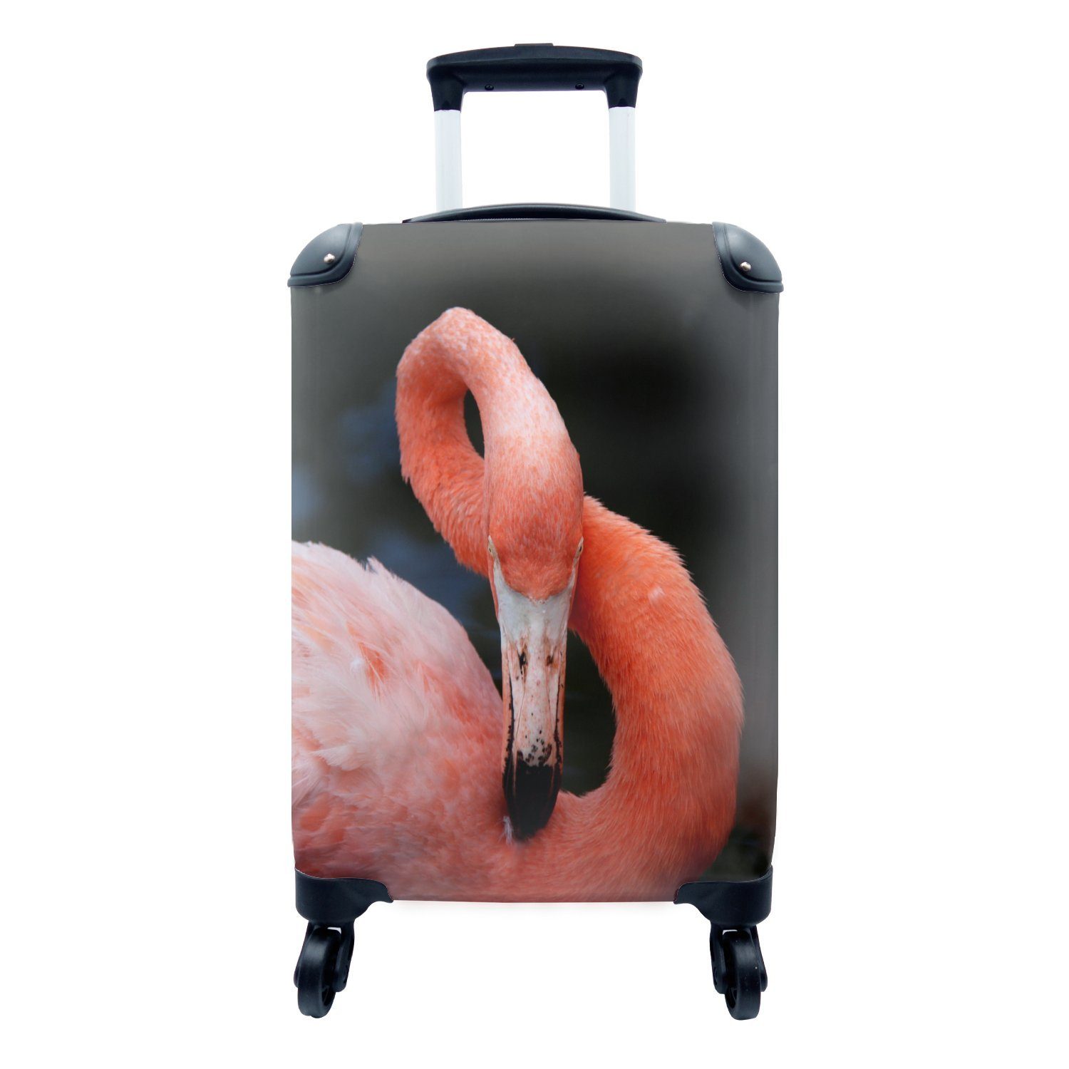 Nahaufnahme Reisekoffer Trolley, mit Hintergrund, Reisetasche für 4 Flamingos schwarzem rollen, Handgepäckkoffer Rollen, auf Handgepäck Ferien, rosa eines MuchoWow