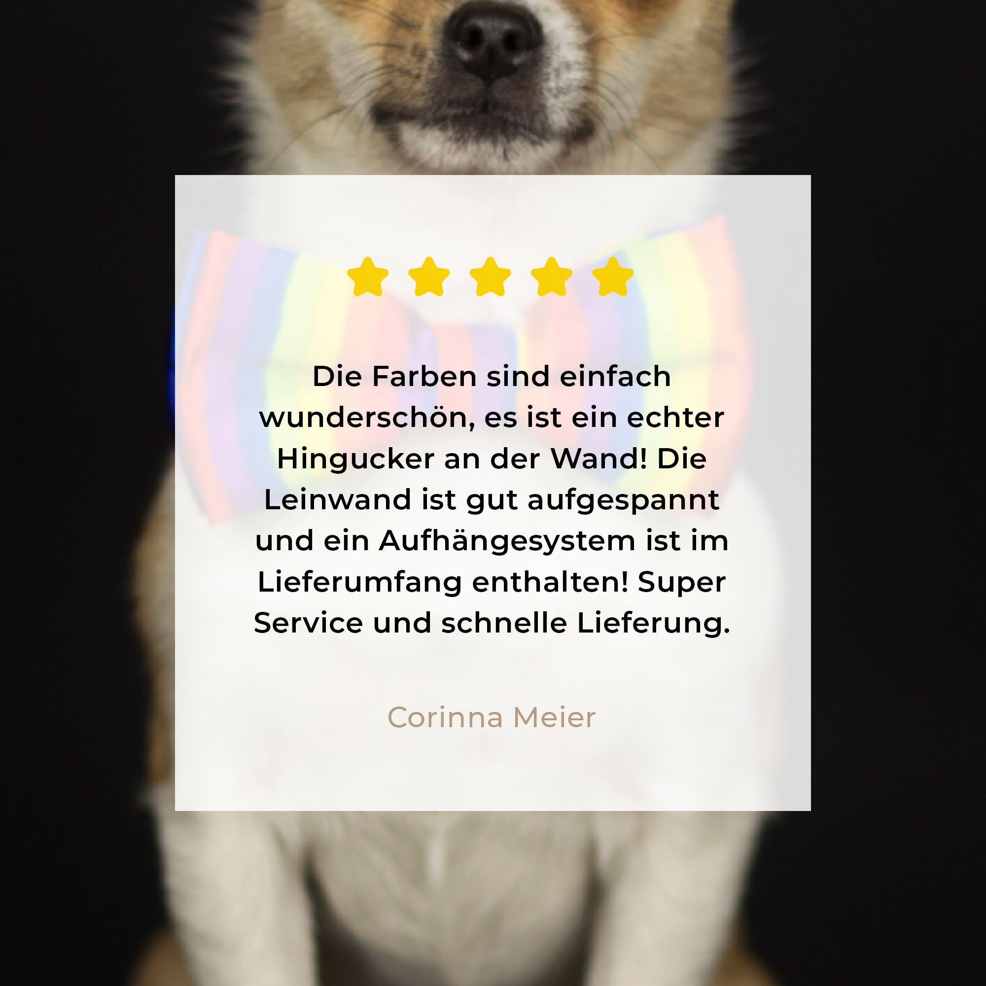 (1 Aufhängefertig, Wanddeko, - Hund Fliege OneMillionCanvasses® Schwarz, cm Wandbild Leinwandbild St), - Leinwandbilder, 30x20