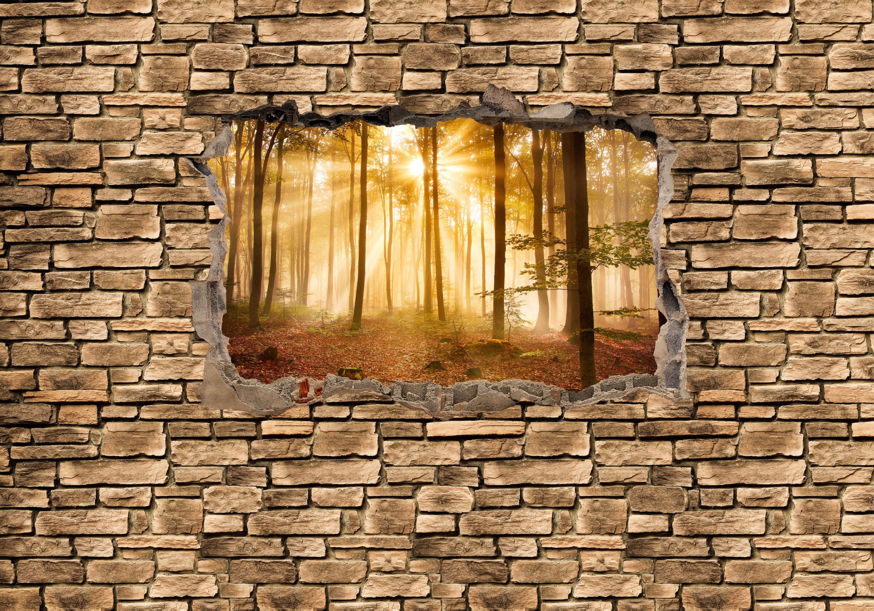 wandmotiv24 Fototapete 3D Wald am Morgen - Steinmauer, glatt, Wandtapete, Motivtapete, matt, Vliestapete
