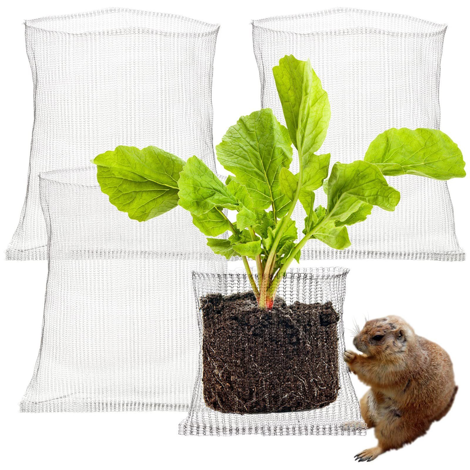 SEEZSSA Draht 4 Stück Wurzelschutz aus Edelstahl für Pflanzen, Körbe für Wühlmaus und Wühlmaus-Drahtkörbe für Beeren, Gemüse