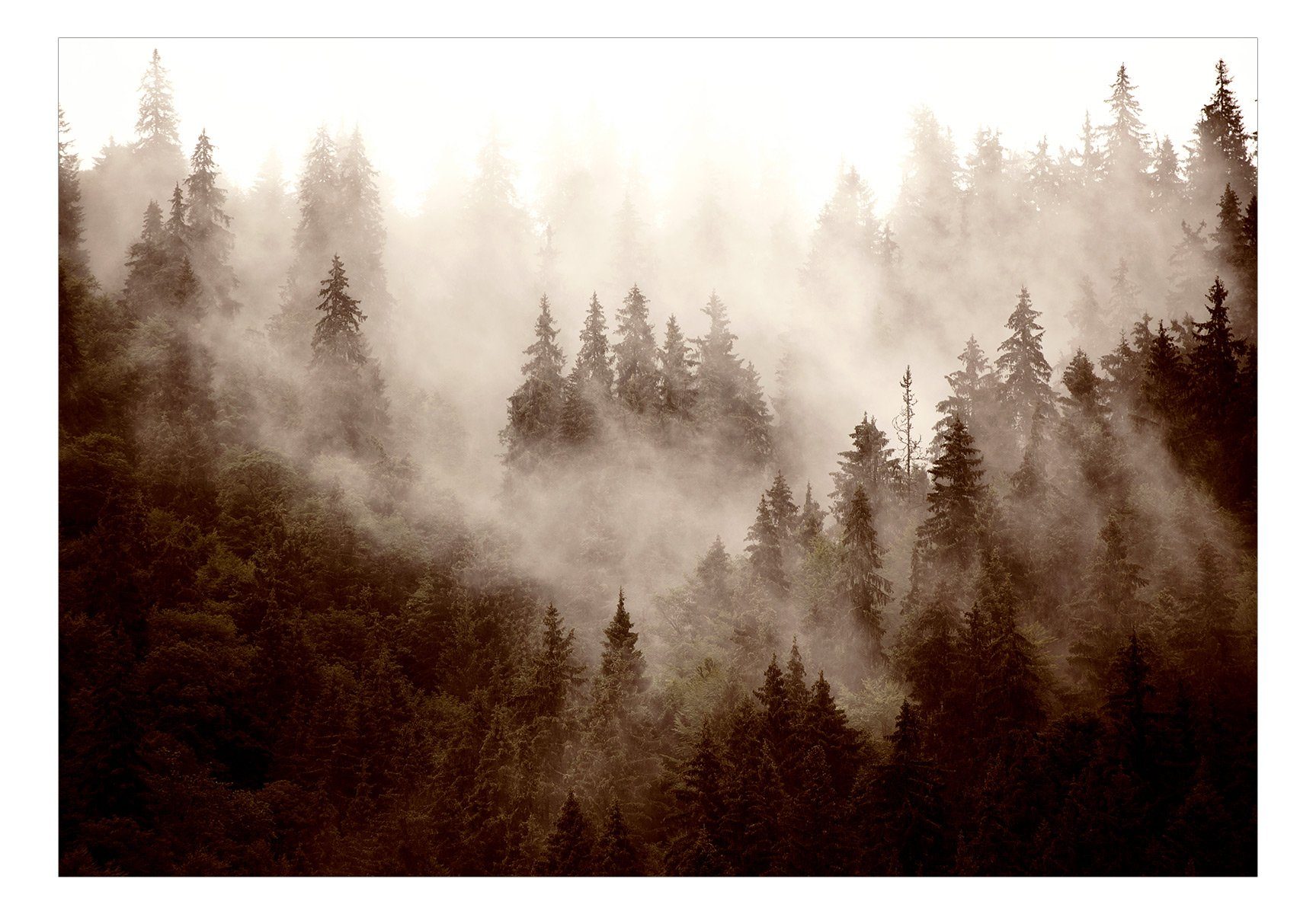 KUNSTLOFT Vliestapete Mountain Forest (Sepia) m, halb-matt, lichtbeständige 0.98x0.7 matt, Design Tapete