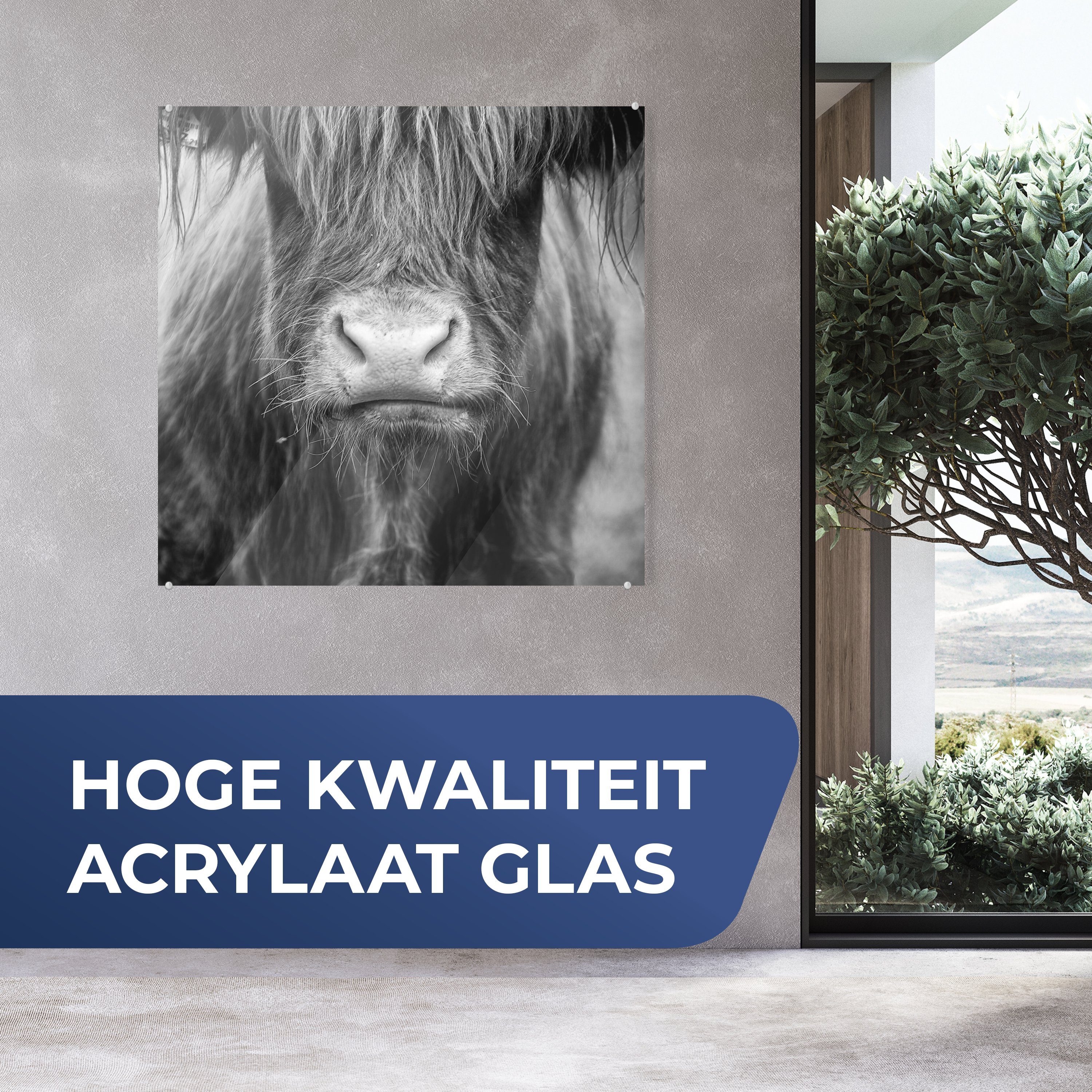 St), Acrylglasbild - Glas Dekorative MuchoWow Highlander Küche Haare Bild Tiere, Schottischer & auf Wohnzimmer für - (1