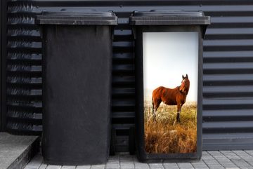 MuchoWow Wandsticker Pferd - Weide - Australien (1 St), Mülleimer-aufkleber, Mülltonne, Sticker, Container, Abfalbehälter