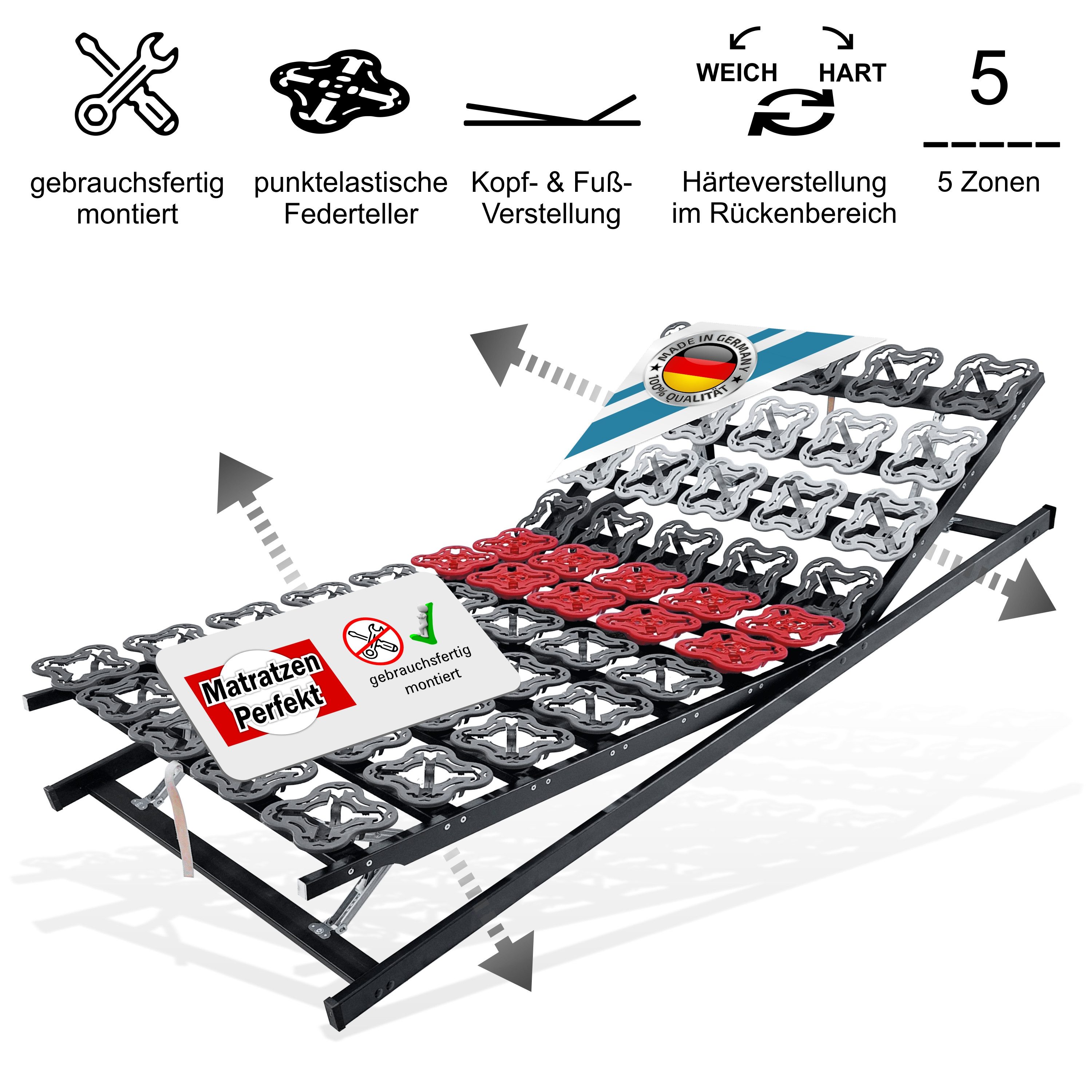 Tellerlattenrost anpassungsfähiger T-Flex, KF Lattenrost de Luxe bis 300 KG Tragkraft, Matratzen Perfekt, Kopfteil VERSTELLBAR, Fußteil VERSTELLBAR, Tellermodule im Hüftbereich verstellbar