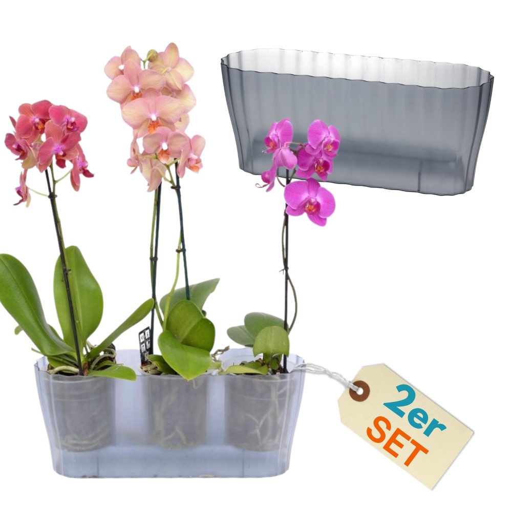 GarPet Blumentopf 2er Set Orchideentopf Transparent Orchideen Über groß rau günstig online kaufen