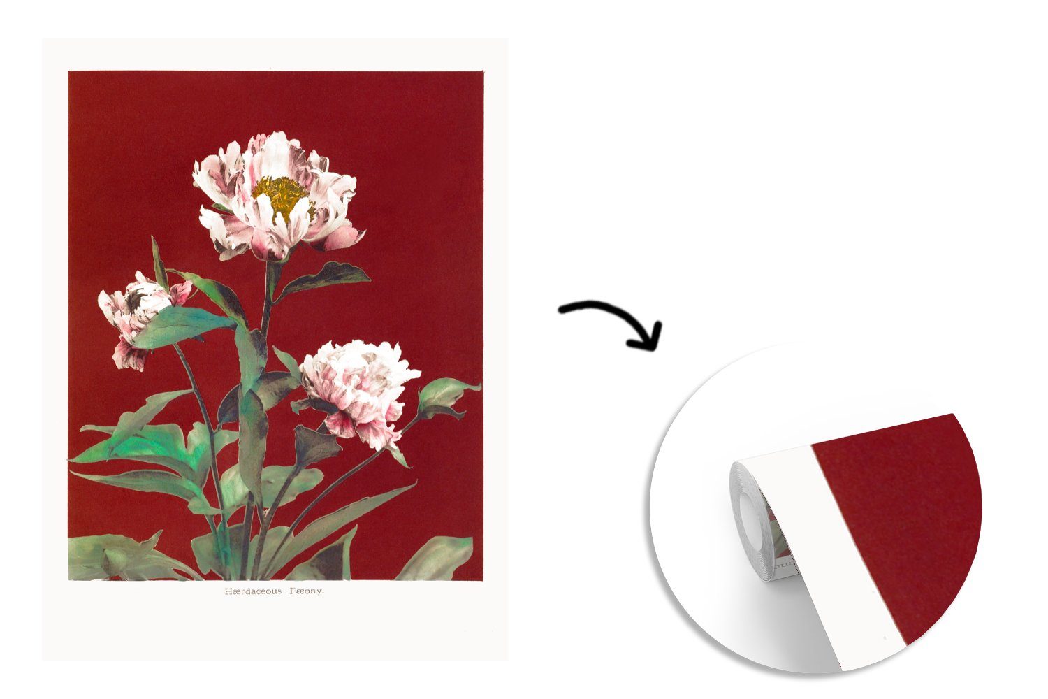 Vintage, Matt, Vinyl Rot Wohnzimmer, Montagefertig (4 für Tapete bedruckt, - St), Fototapete MuchoWow Wandtapete - Blumen Farben - - Pflanzen