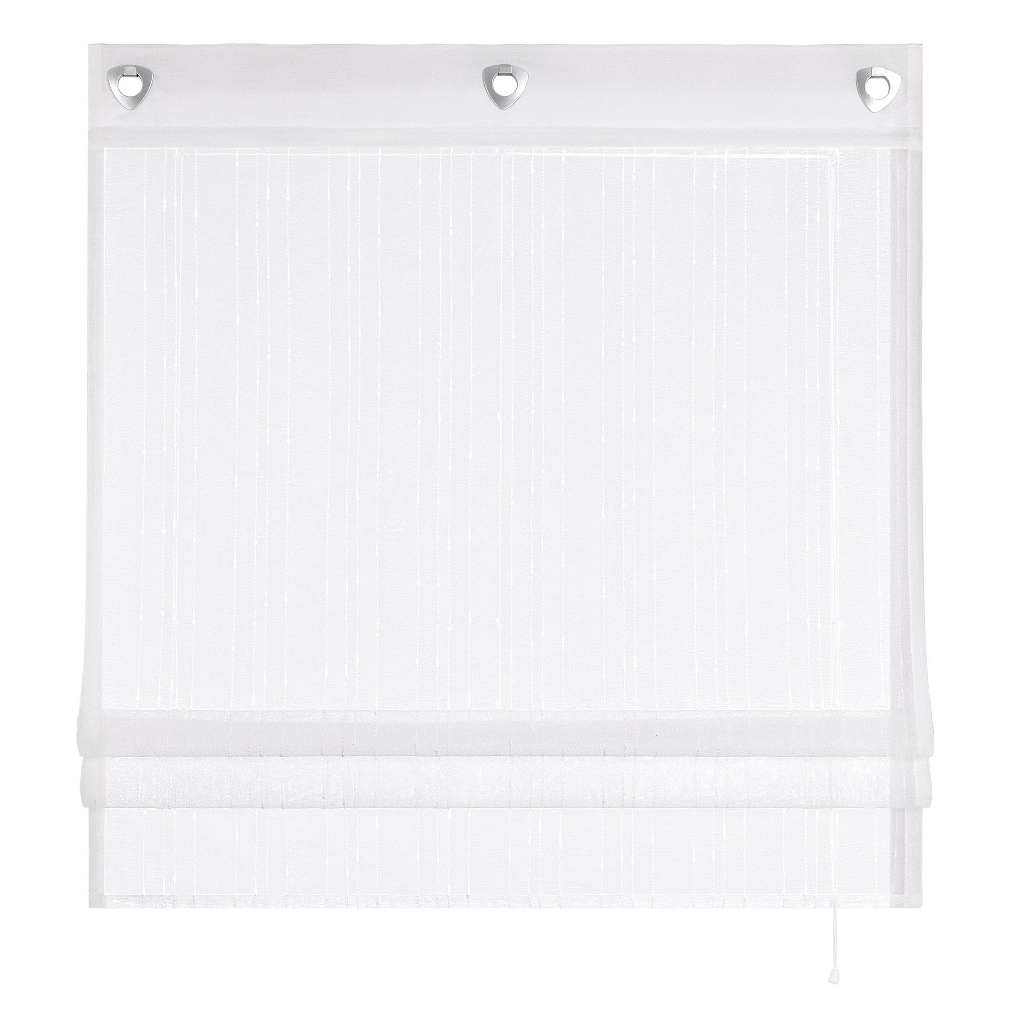 Delien Raffrollo Ursel, mit Hakenaufhängung, Voile Ösenrollo mit schönen Lä günstig online kaufen