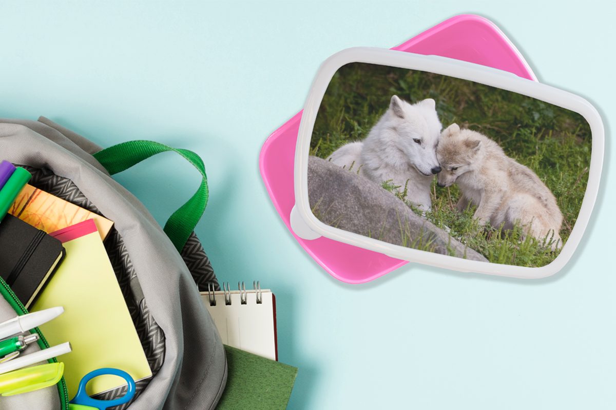 Mädchen, Erwachsene, Welpe (2-tlg), für Wolf Kunststoff - - Gras, rosa MuchoWow Brotbox Kunststoff, Snackbox, Kinder, Lunchbox Brotdose