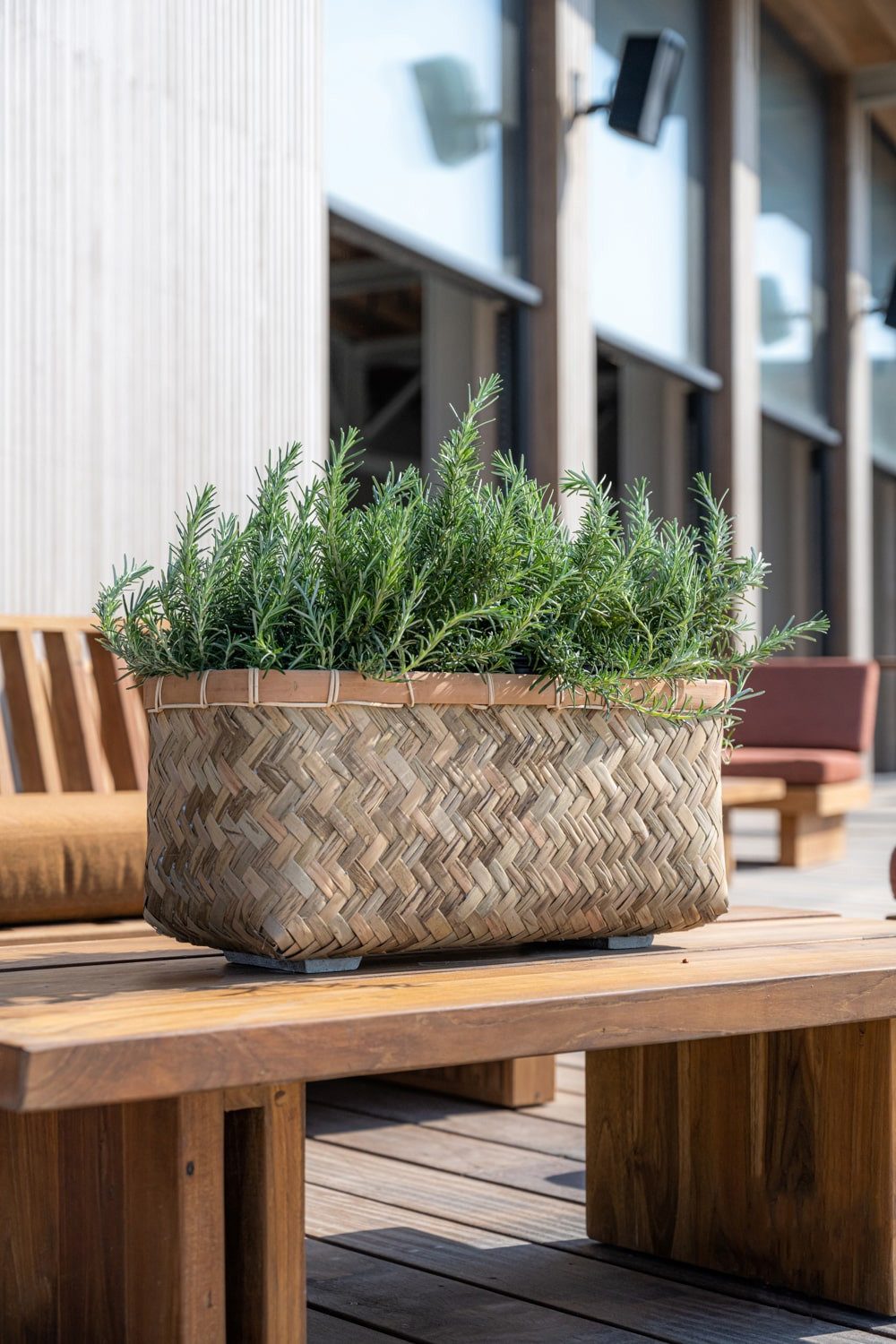 finestgreen Pflanzkübel Nouri, Handgeflochten & verstärkt – natürliche Eleganz für den Innenbereich