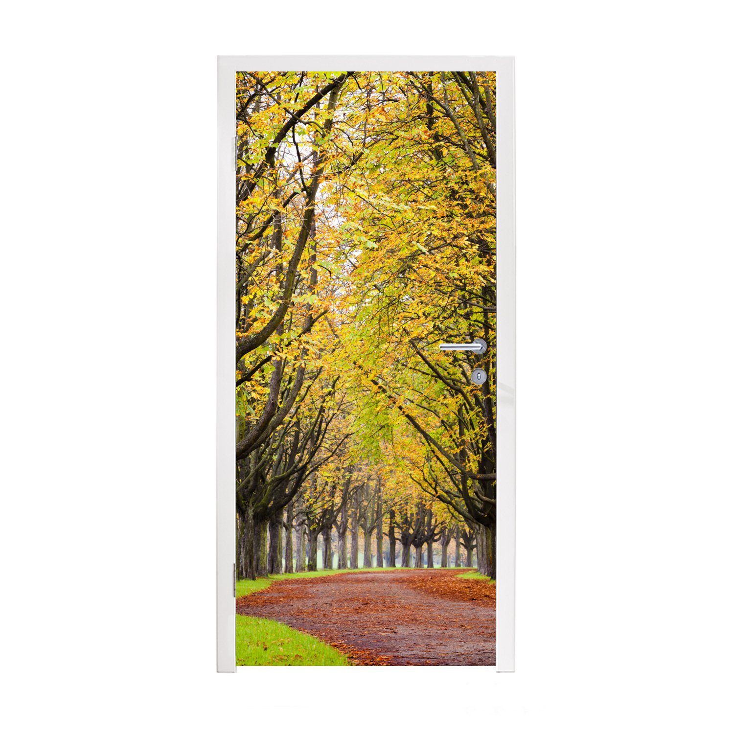 MuchoWow Türtapete Kastanienbäume mit gelben Blättern im Herbst, Matt, bedruckt, (1 St), Fototapete für Tür, Türaufkleber, 75x205 cm