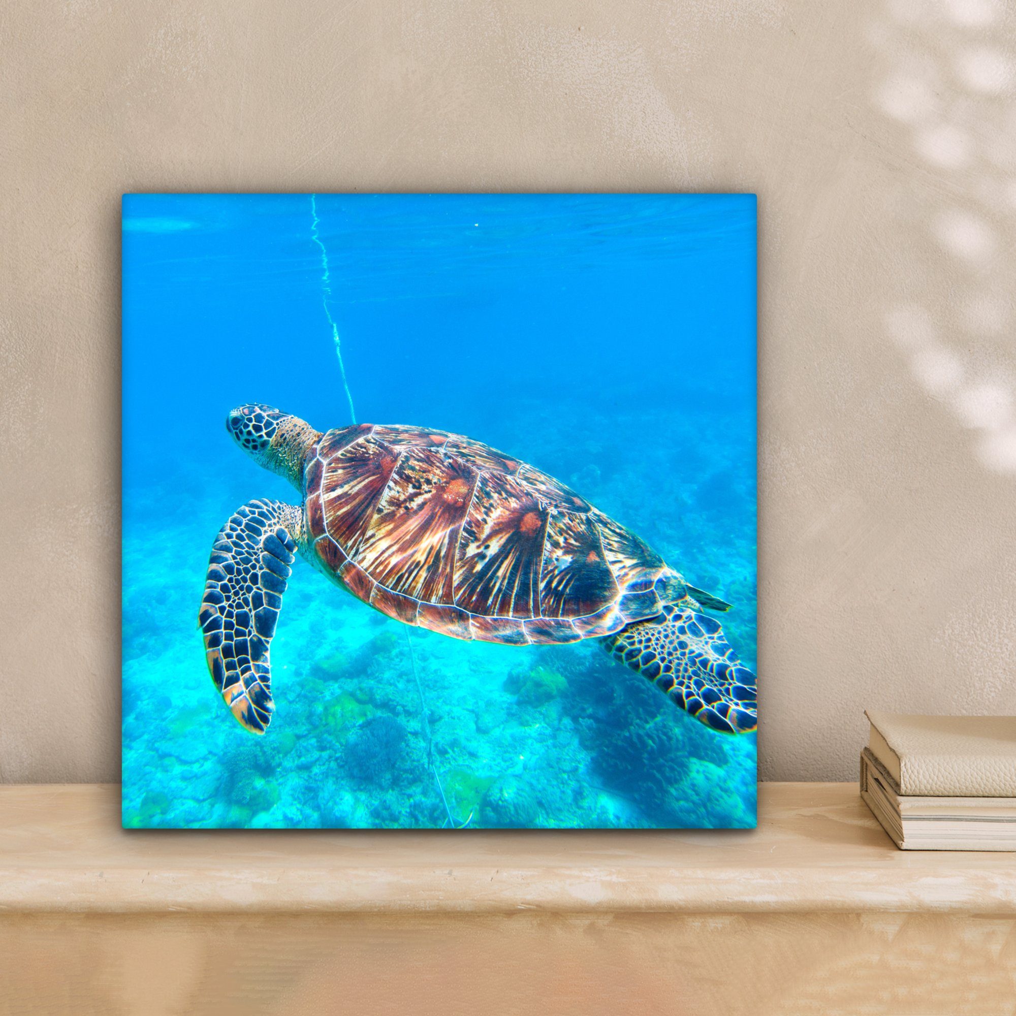 Wasser, Schlafzimmer, OneMillionCanvasses® Leinwand für Schildkröte Meer Leinwandbild St), cm Bilder - (1 - 20x20 Wohnzimmer