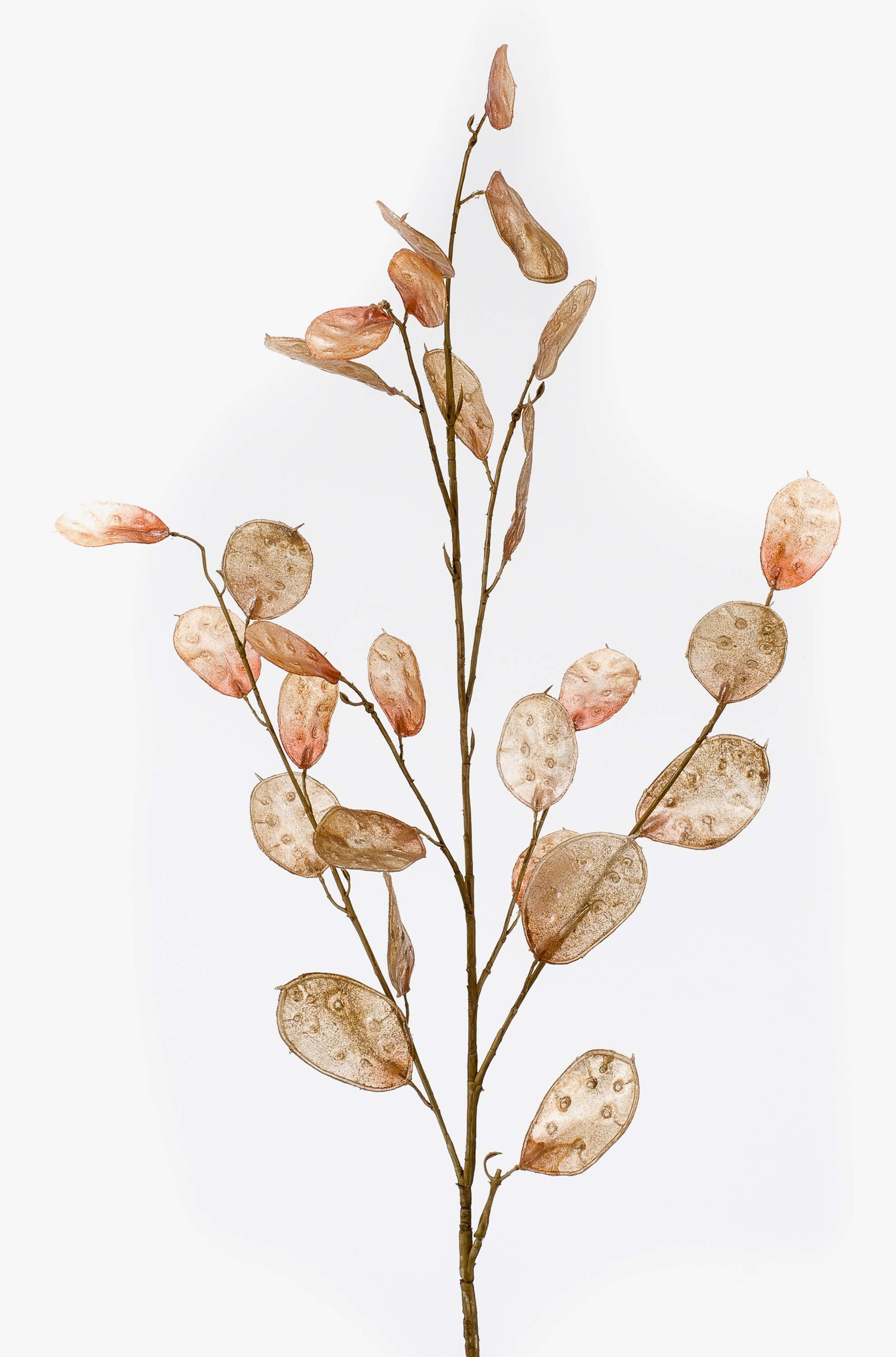 Kunstzweig Dekozweig Lunaria BUELNA, Hellbraun, 105cm Silberblatt, artplants, Höhe 105.0 cm