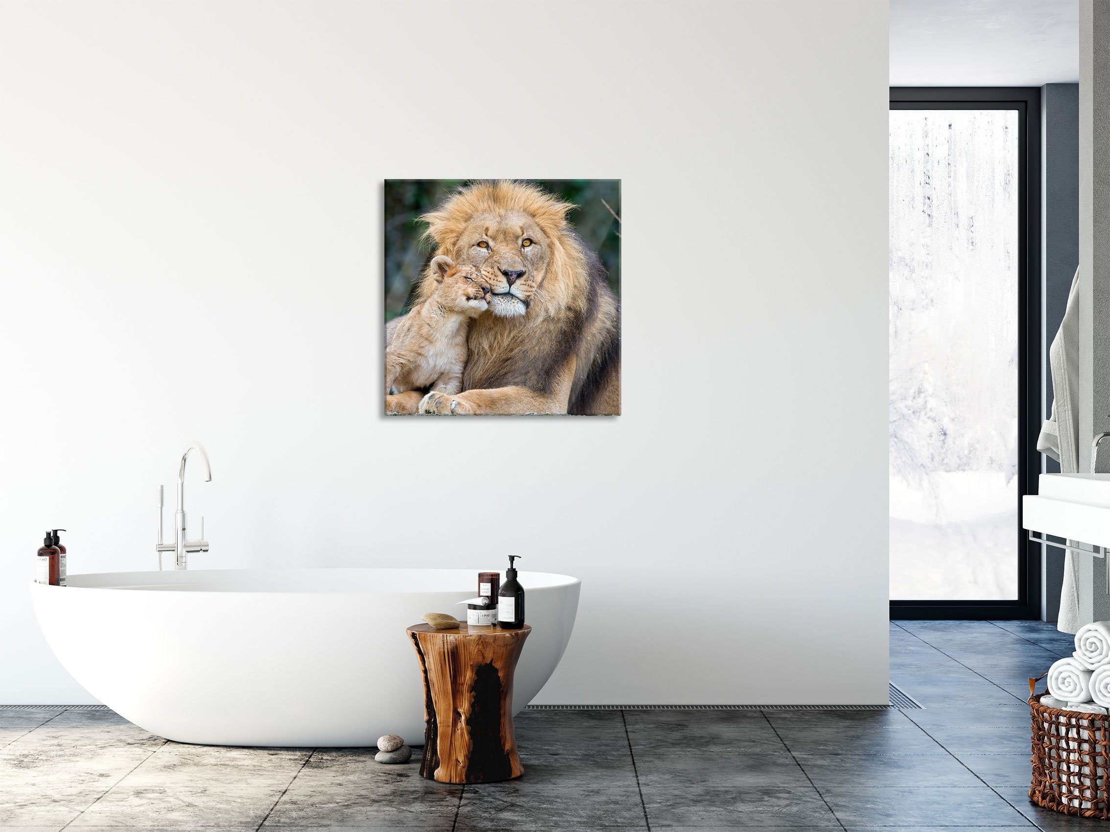 Jungtier inkl. Aufhängungen St), Löwe und aus Abstandshalter Glasbild Löwe schöner (1 mit schöner Glasbild Echtglas, Pixxprint mit Jungtier,