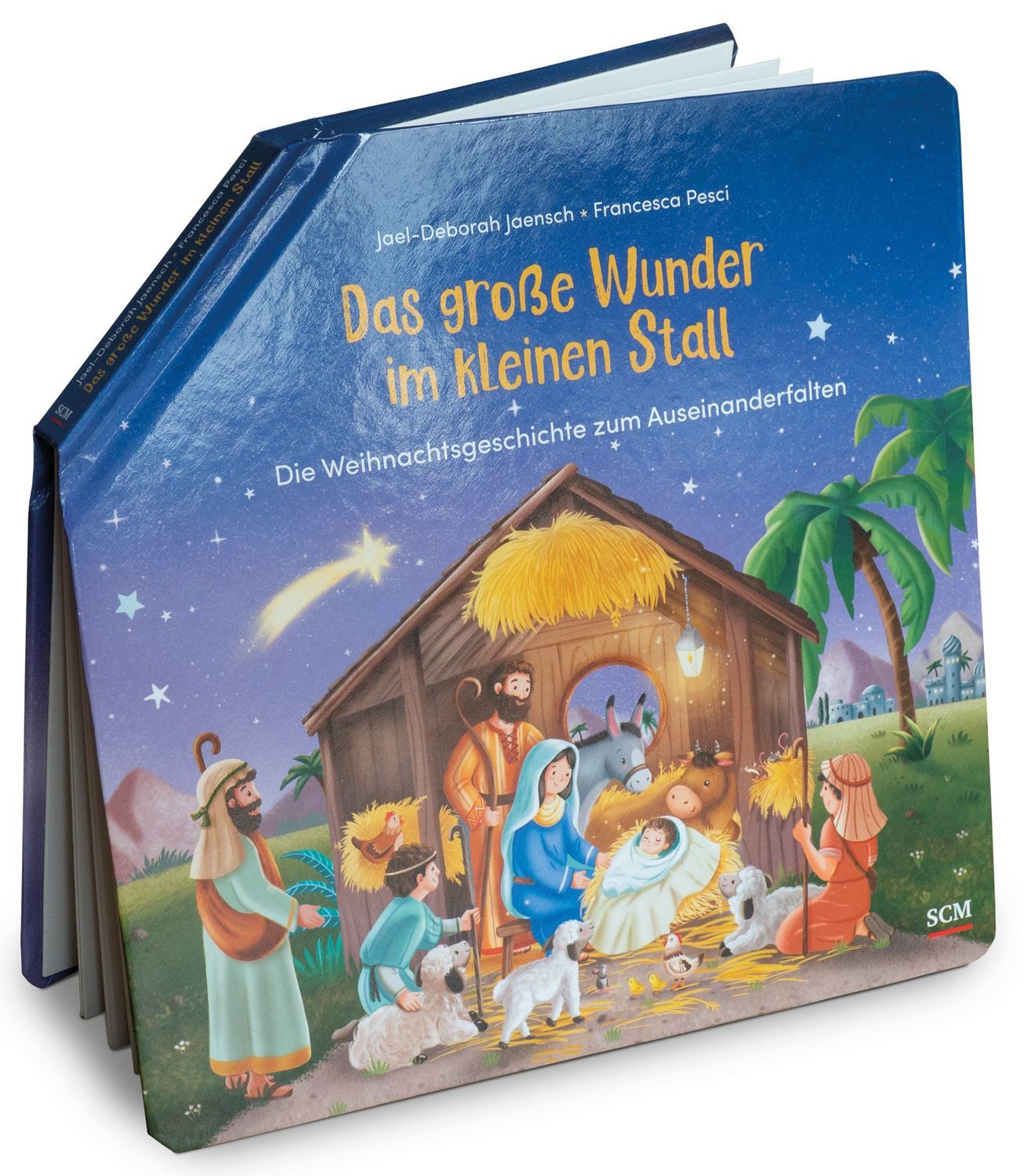 Kinderbuch Das große Wunder im kleinen Stall Die Weihnachtsgeschichte zum Auseina Jael-Deborah Jaensch